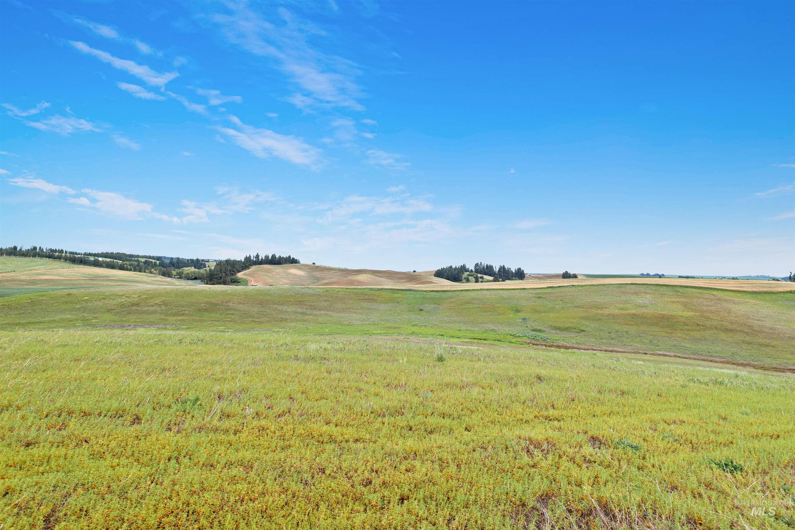 Tbd Reams Rd Property Photo 18