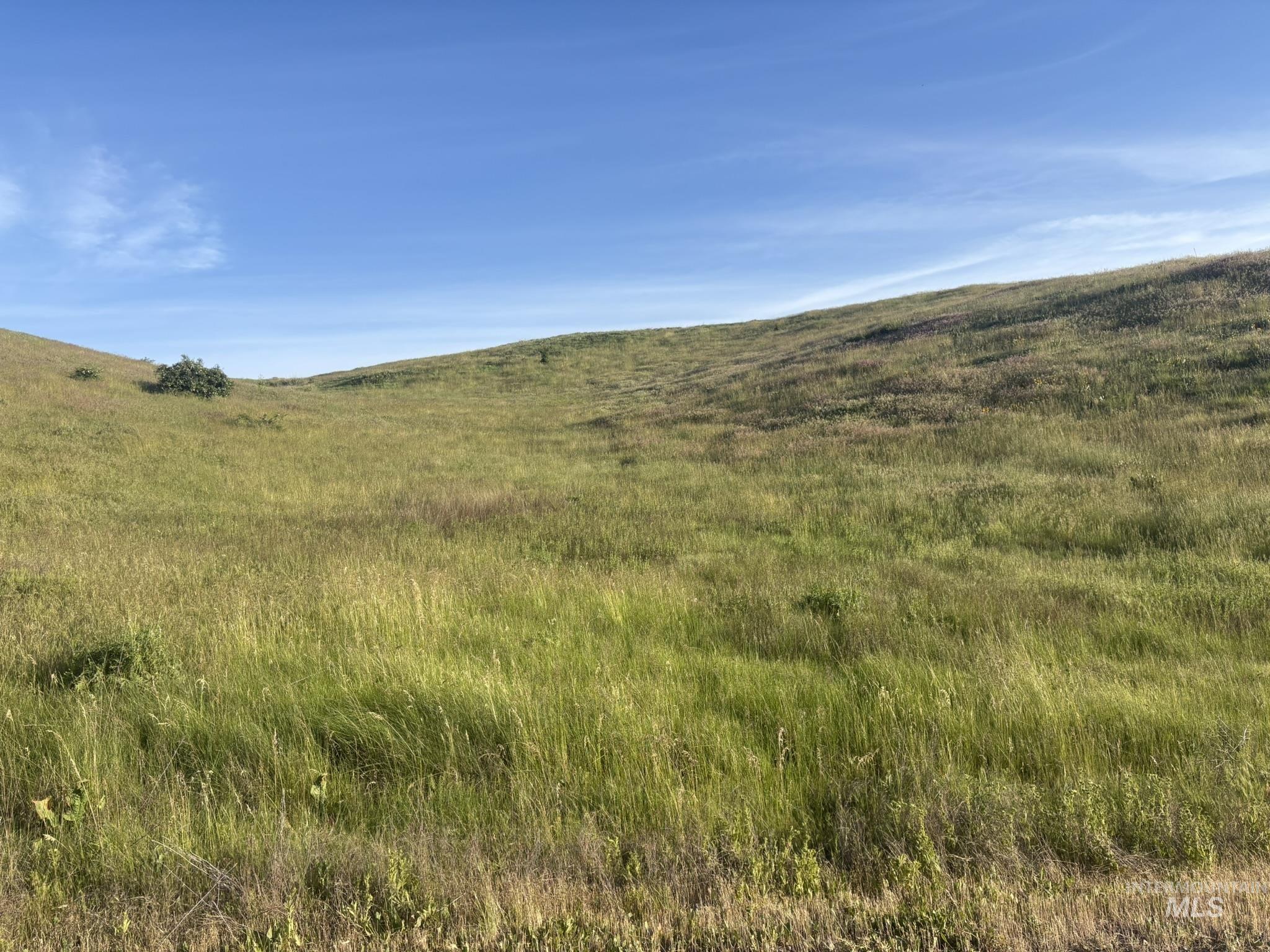 Tbd Bethel Rd Property Photo 12