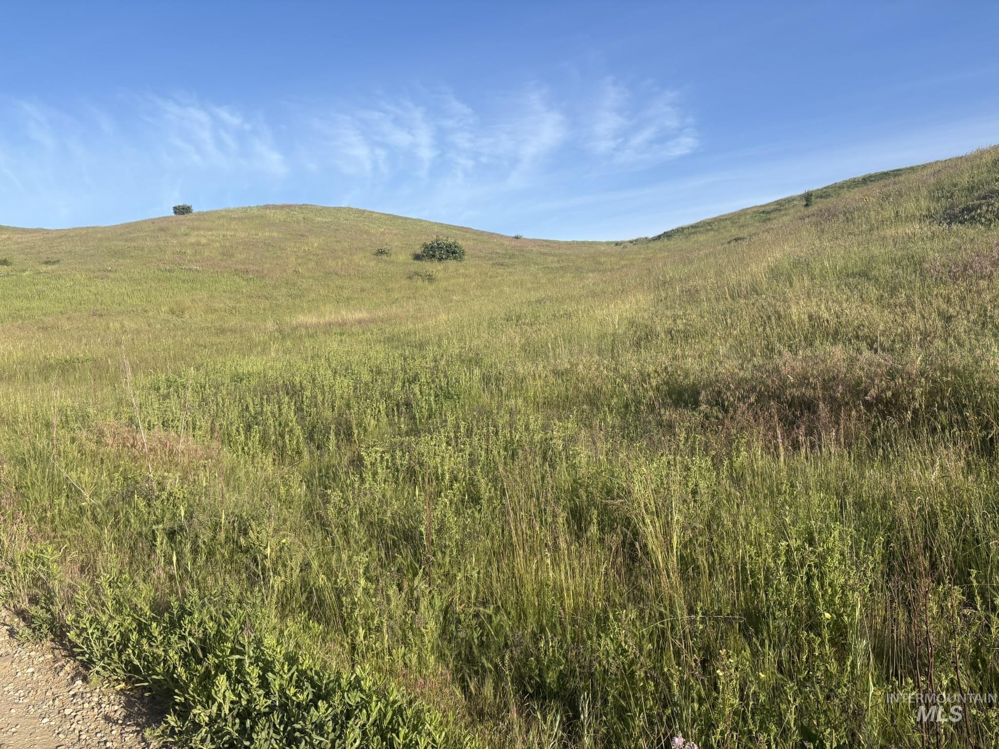 Tbd Bethel Rd Property Photo 16