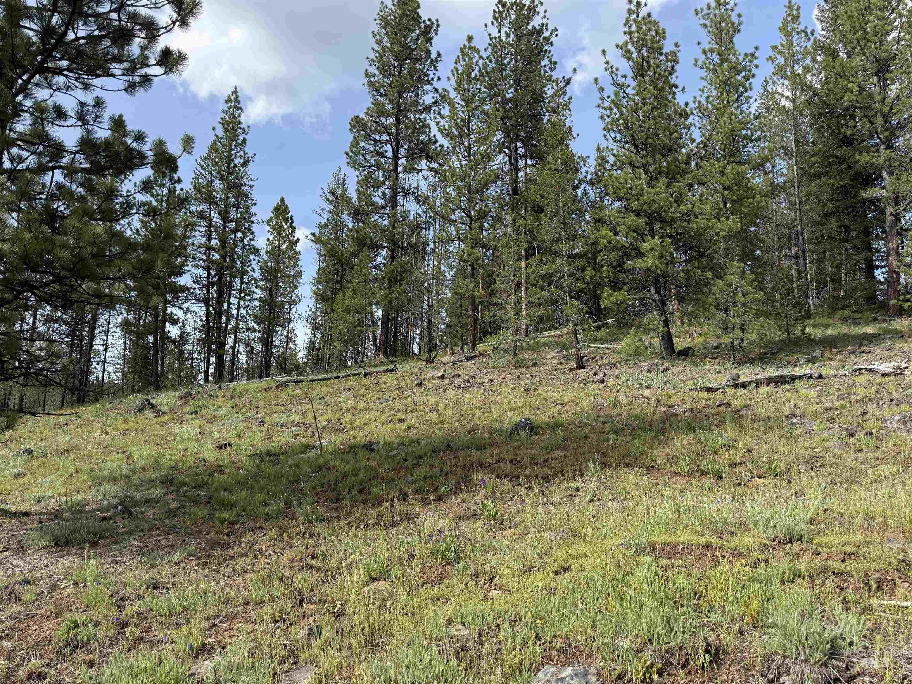 Nka Winchester Property Photo 2
