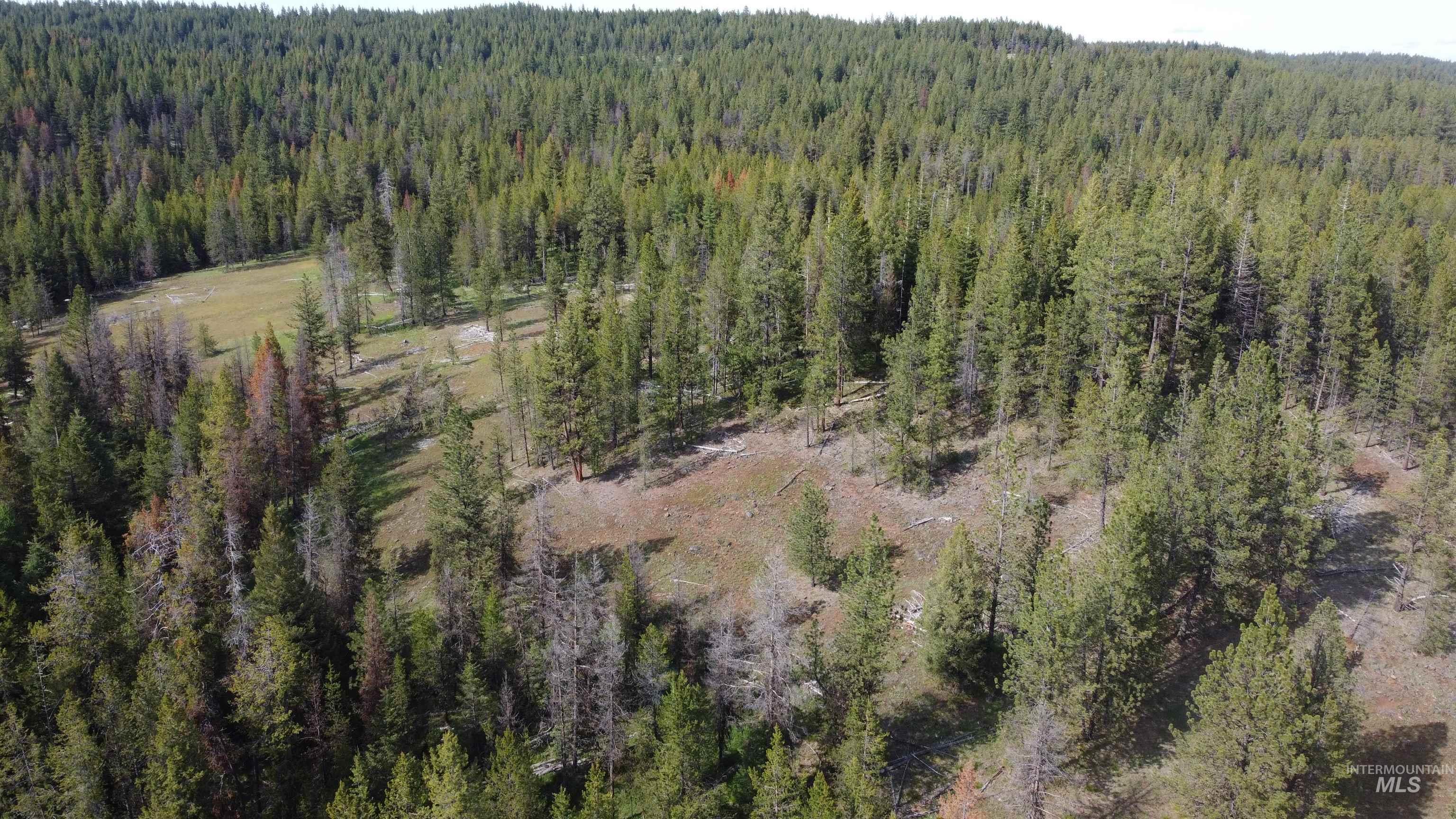 Nka Winchester Property Photo 3