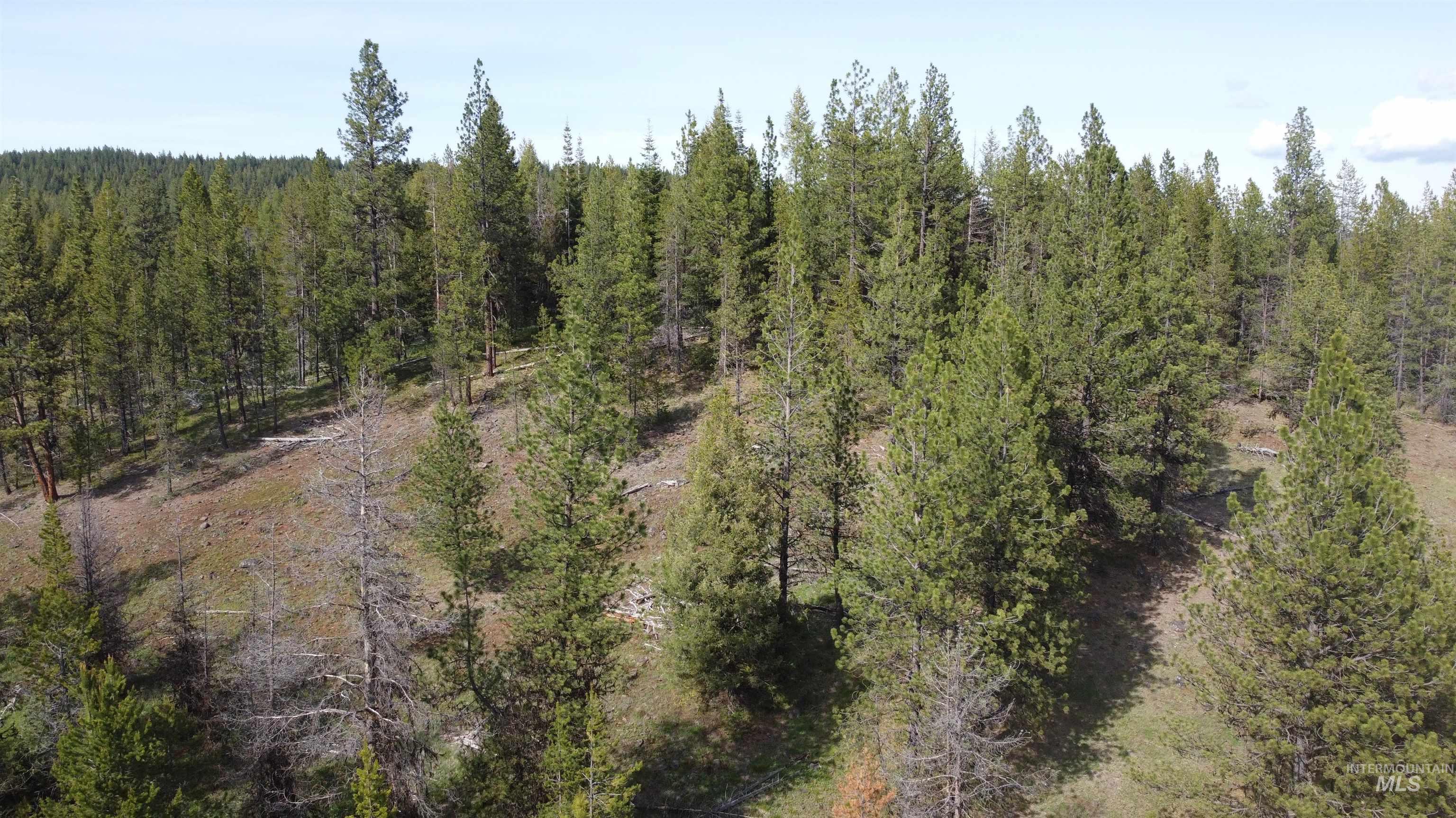 Nka Winchester Property Photo 4