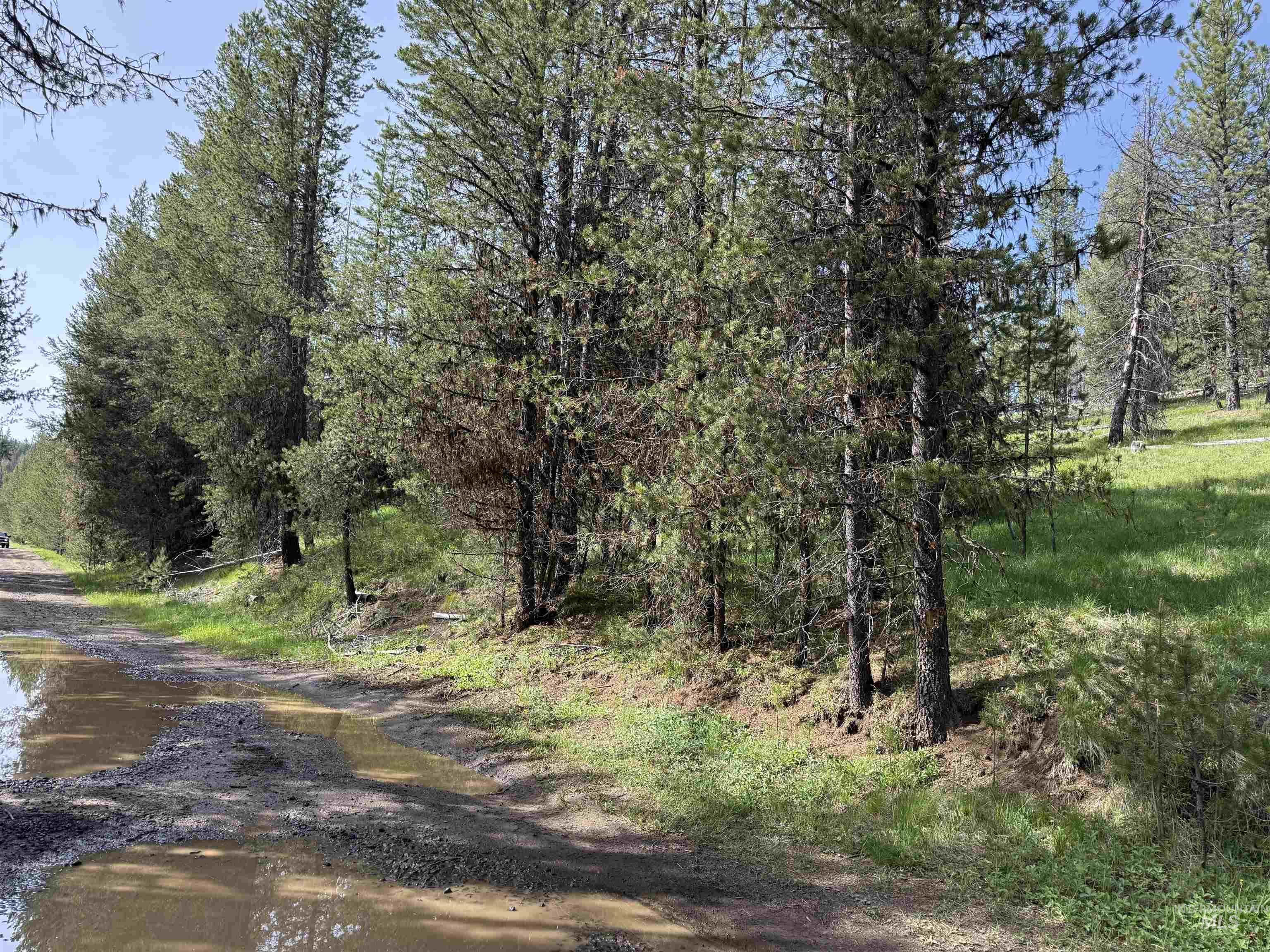 Nka Winchester Property Photo 5