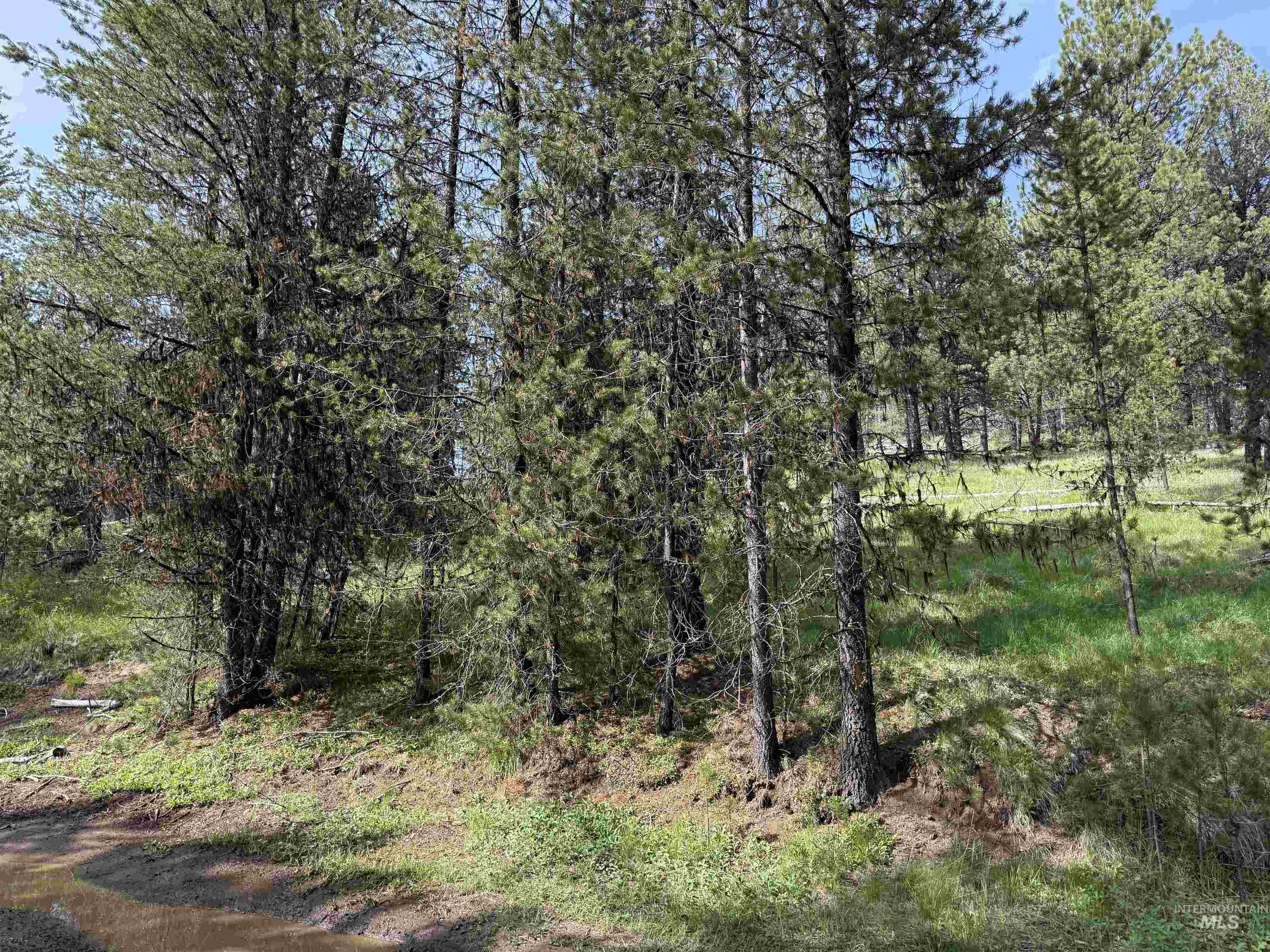 Nka Winchester Property Photo 17