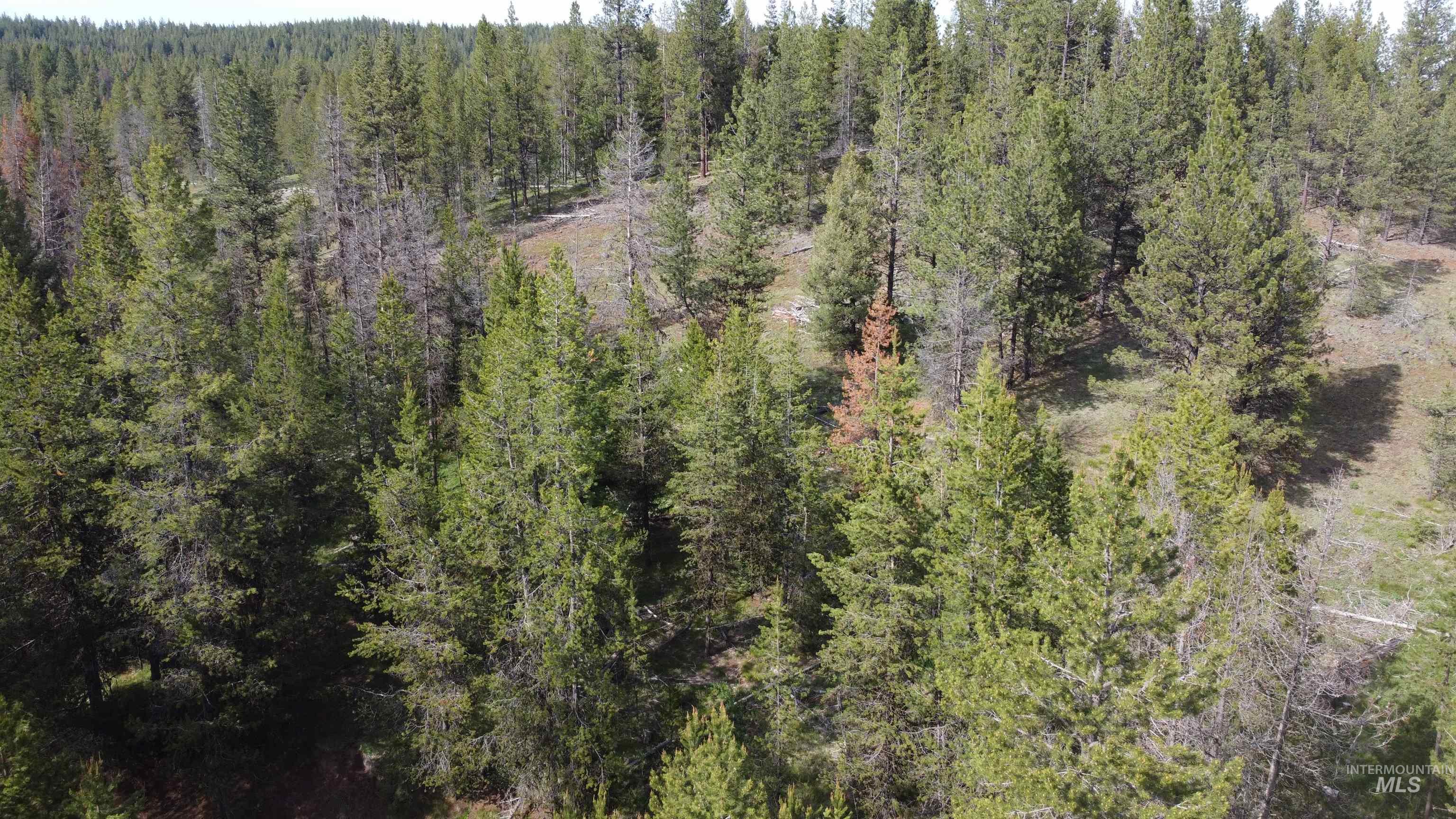 Nka Winchester Property Photo 20