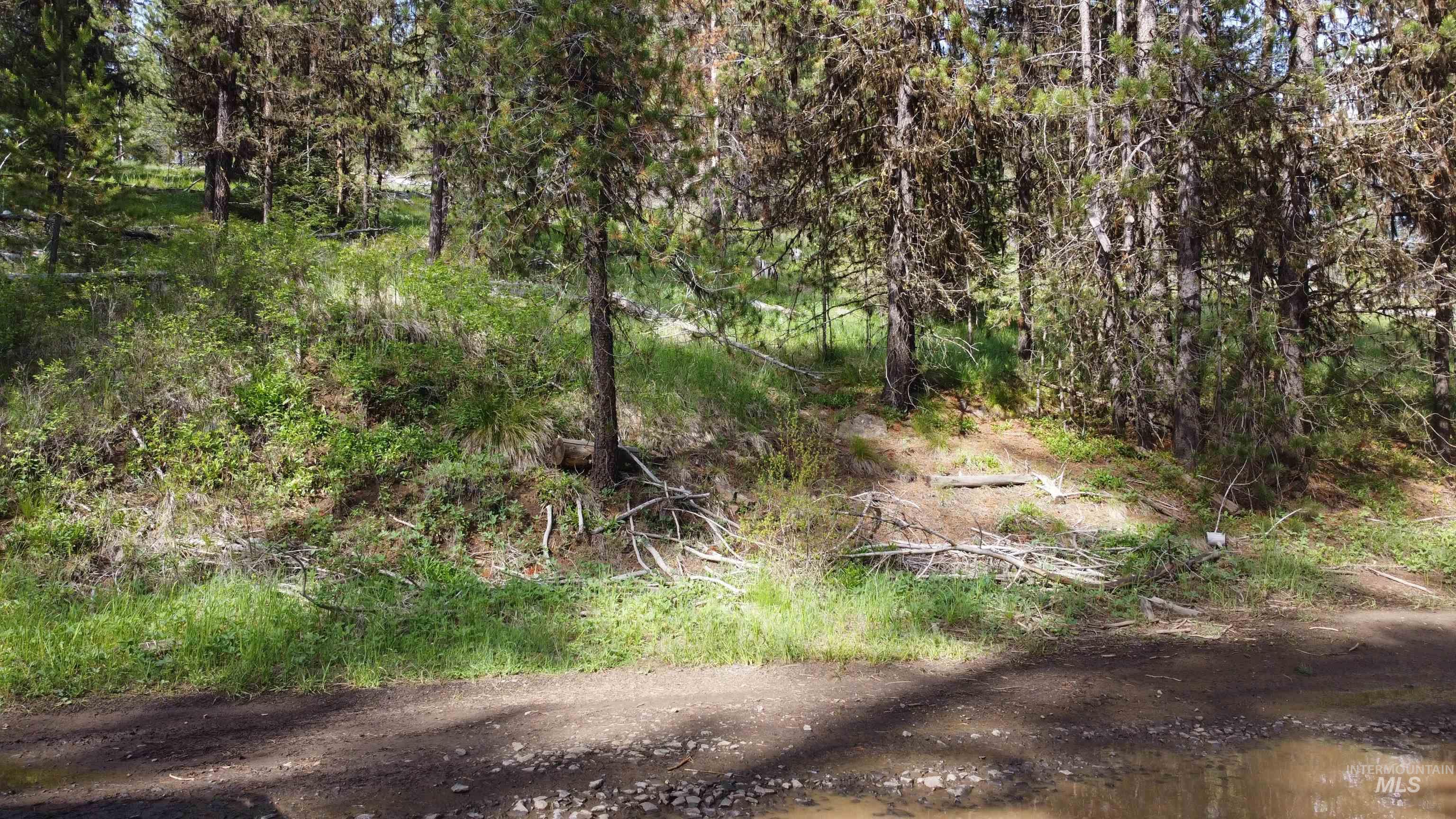 Nka Winchester Property Photo 21