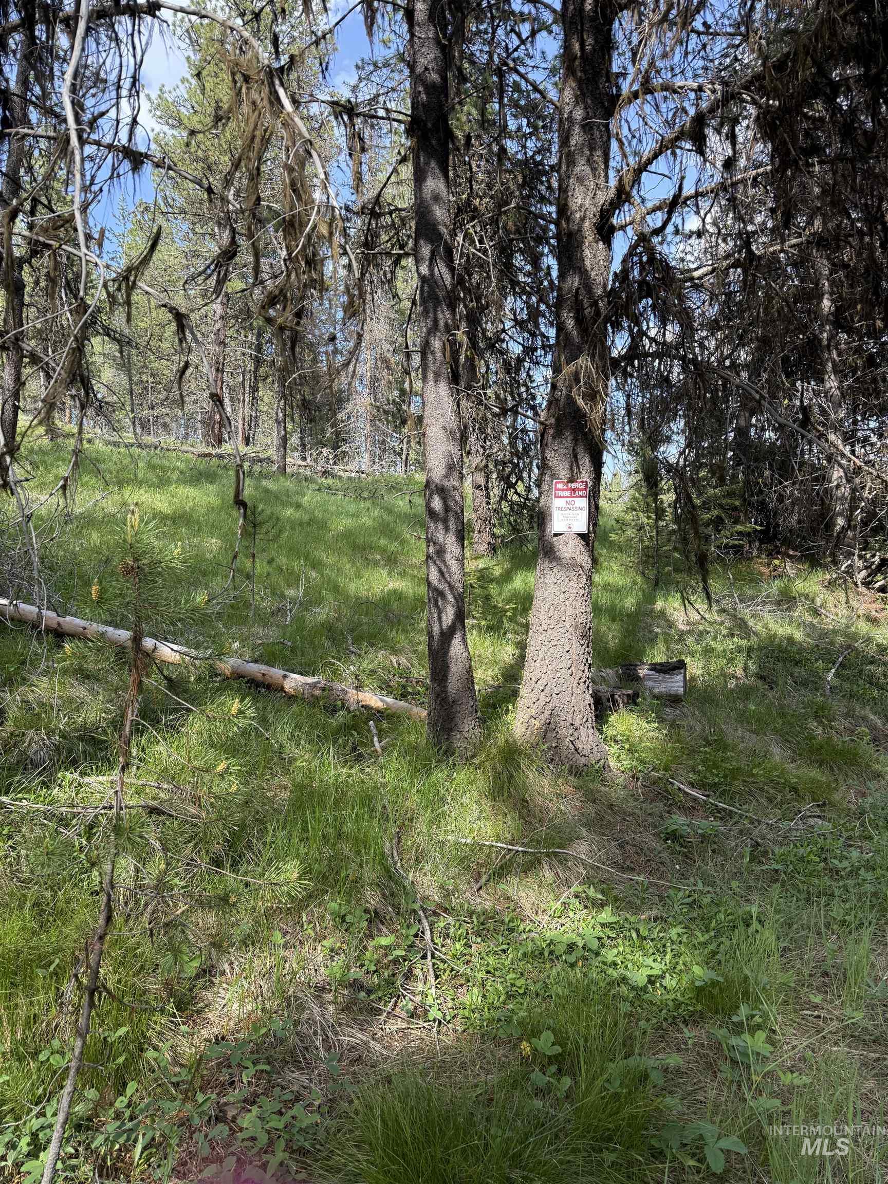 Nka Winchester Property Photo 22