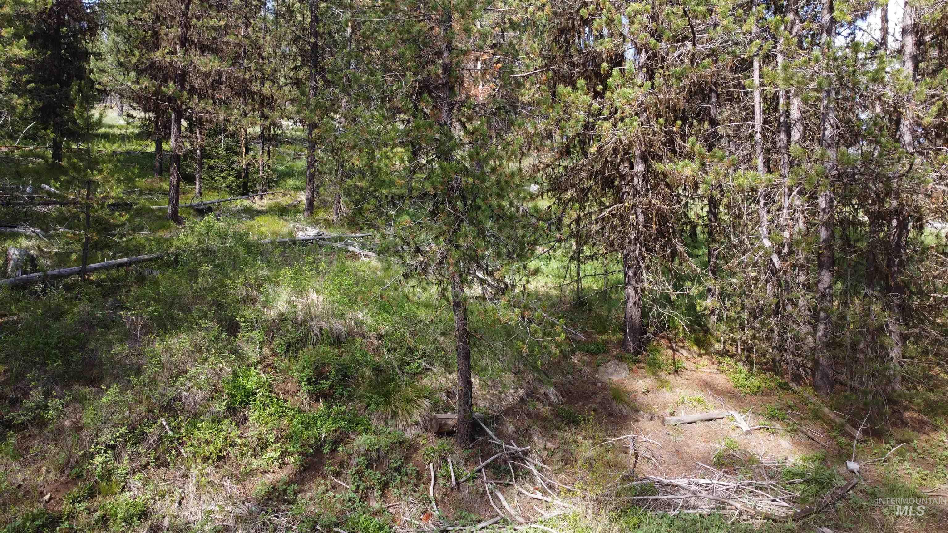 Nka Winchester Property Photo 25