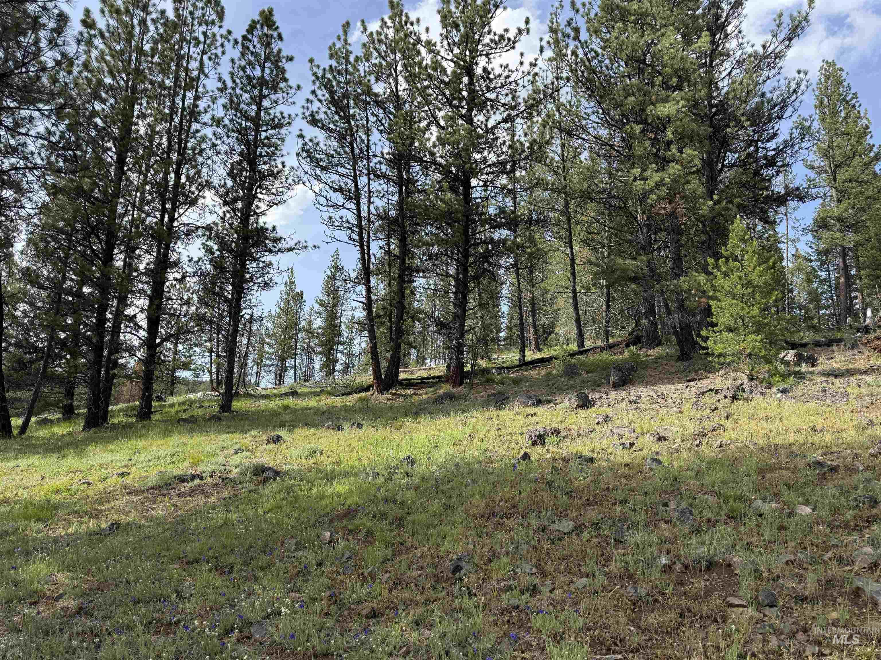 Nka Winchester Property Photo 26