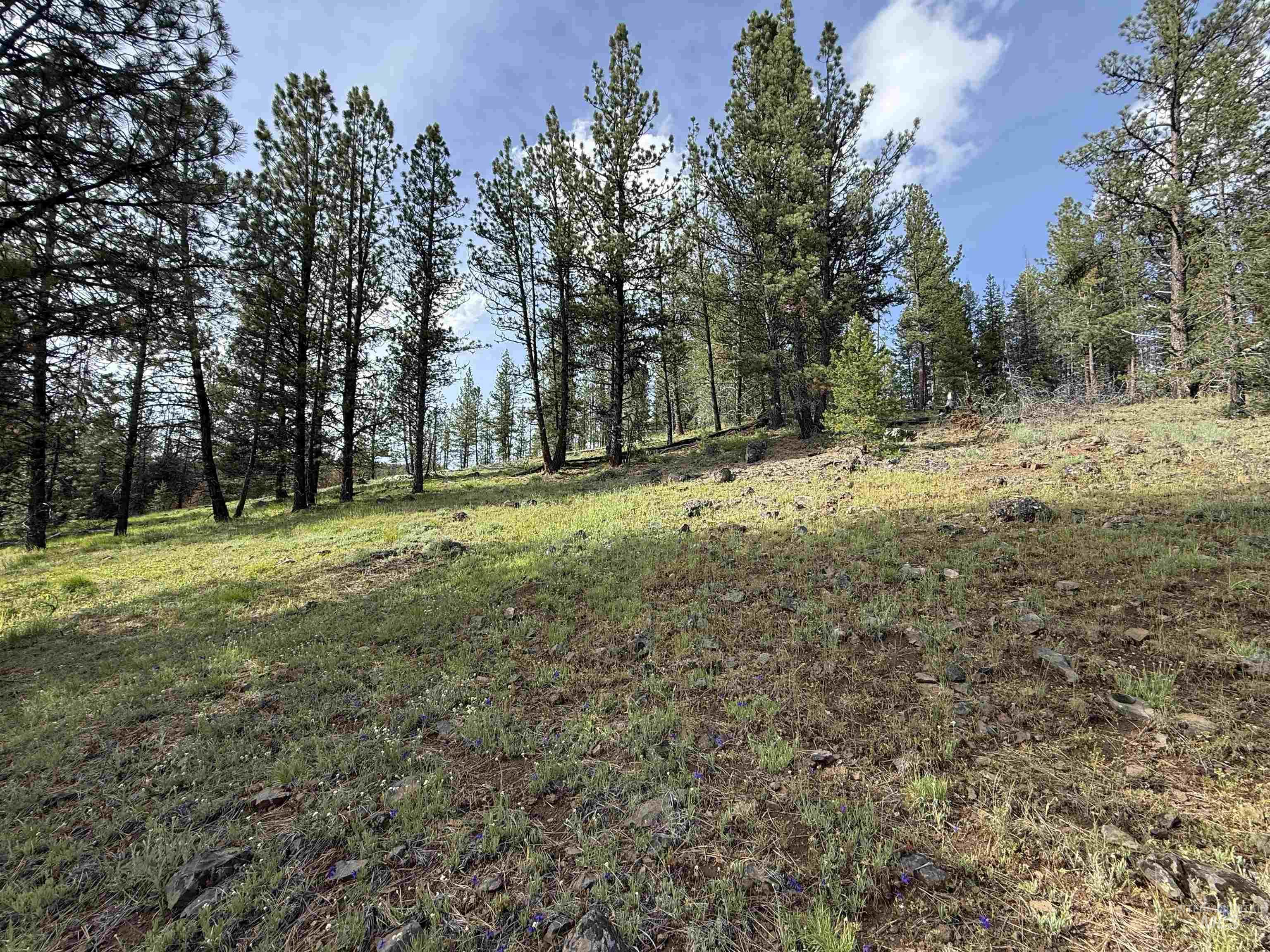 Nka Winchester Property Photo 27