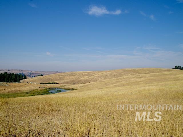 Tbd Ditch Creek Road Property Photo 3