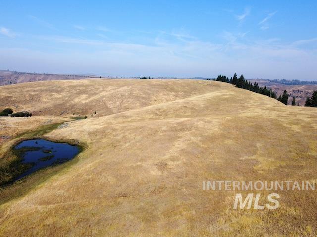 Tbd Ditch Creek Road Property Photo 4