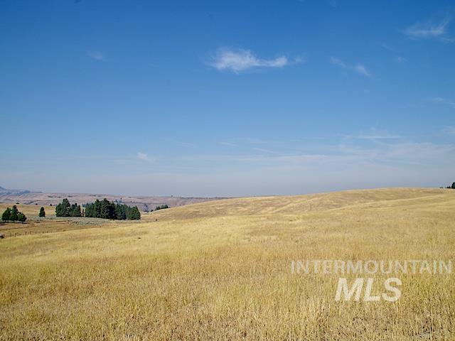 Tbd Ditch Creek Road Property Photo 5