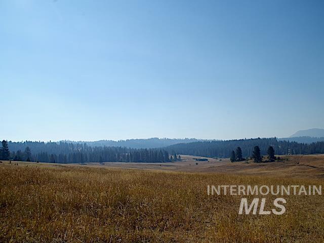 Tbd Ditch Creek Road Property Photo 6