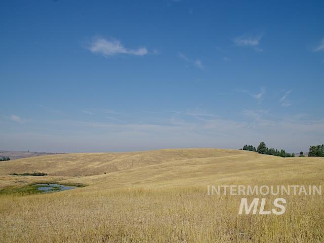 Tbd Ditch Creek Road Property Photo 7