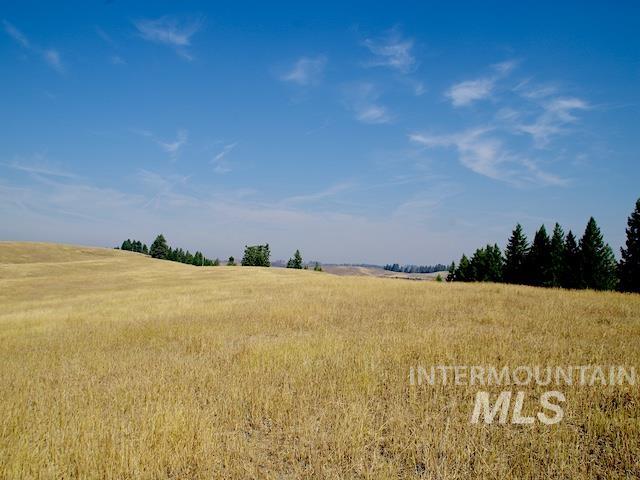 Tbd Ditch Creek Road Property Photo 11