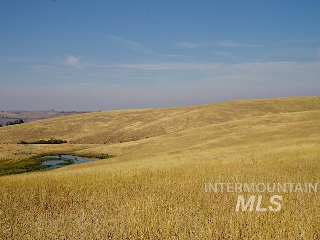 Tbd Ditch Creek Road Property Photo 6