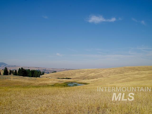 Tbd Ditch Creek Road Property Photo 9