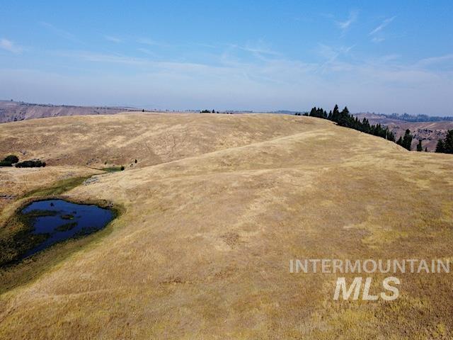 Tbd Ditch Creek Road Property Photo 10
