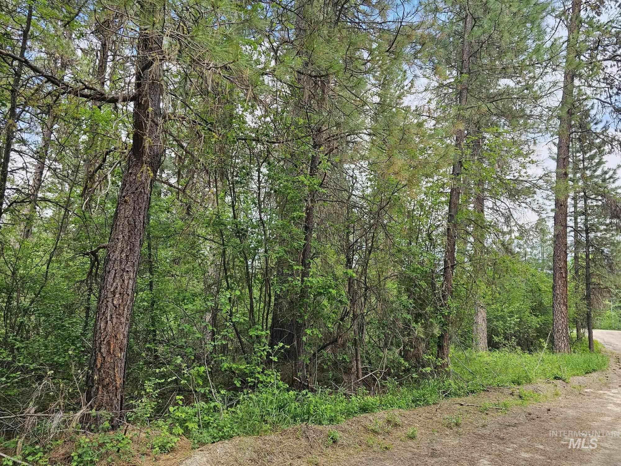 Lot 16 & 17 Caseys Rd Property Photo 4