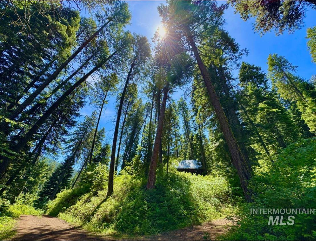 Lot 2 Williams Creek Property Photo 11