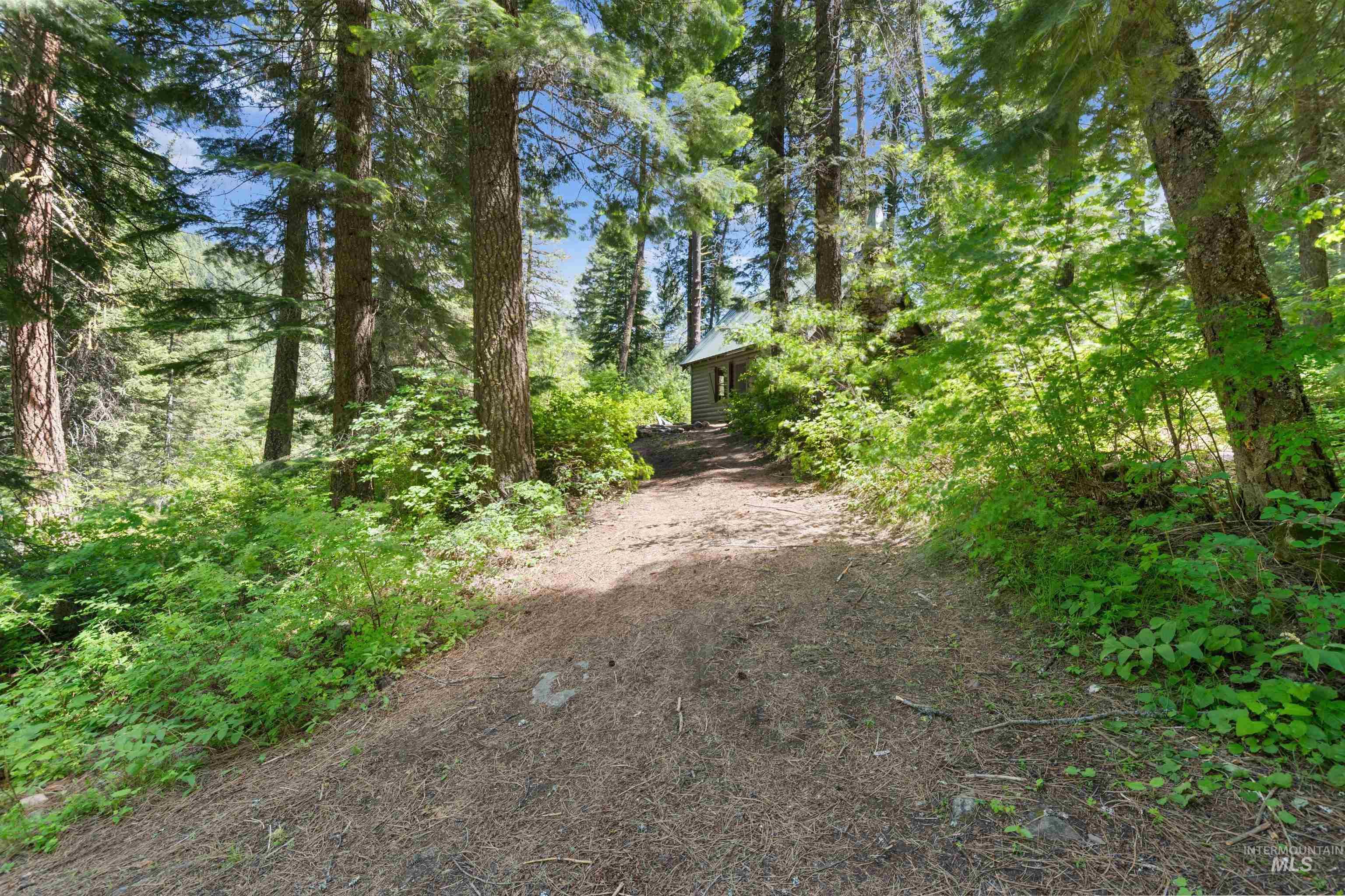 Lot 2 Williams Creek Property Photo 13