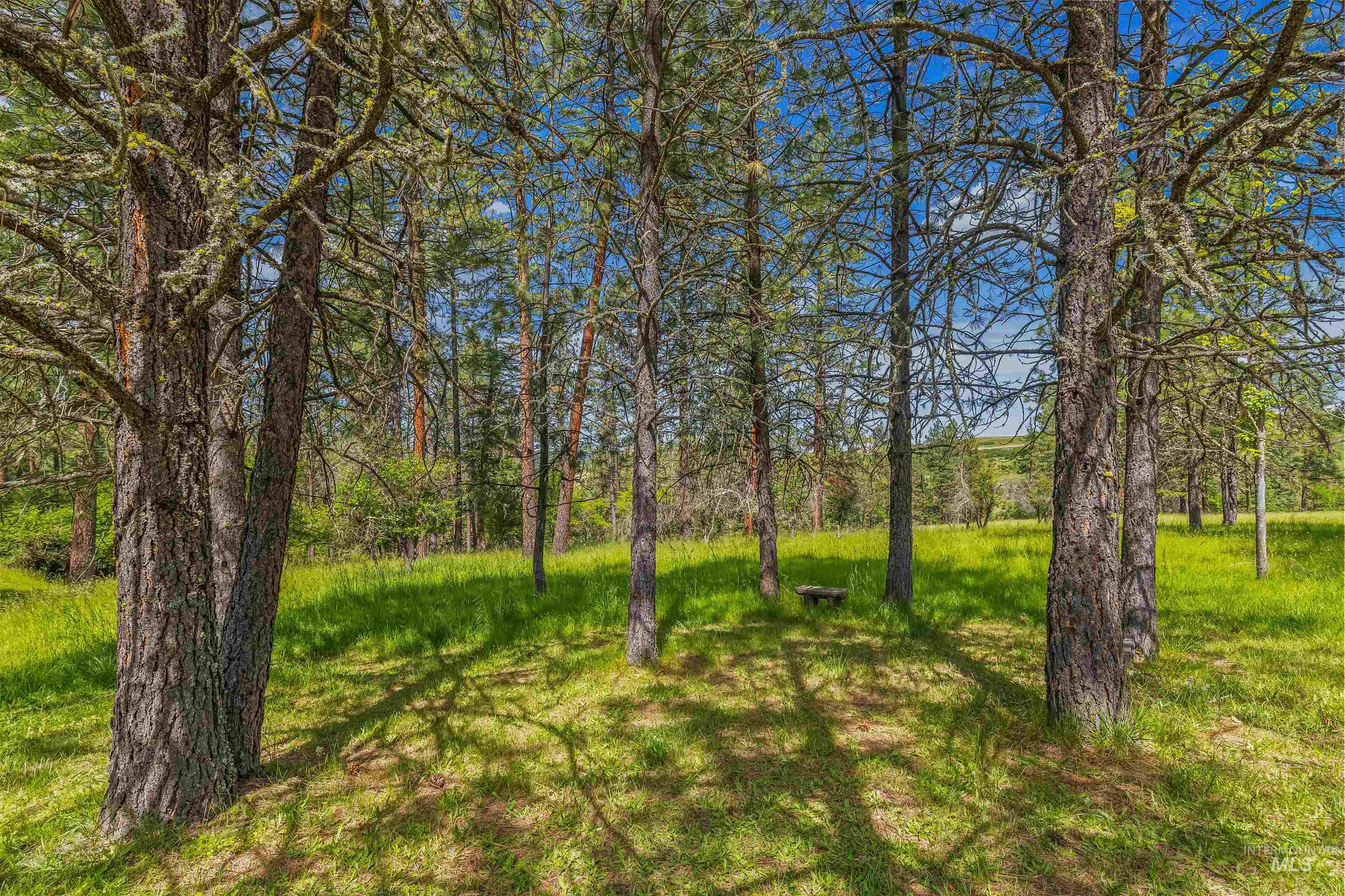 743 Wall Creek Property Photo 16