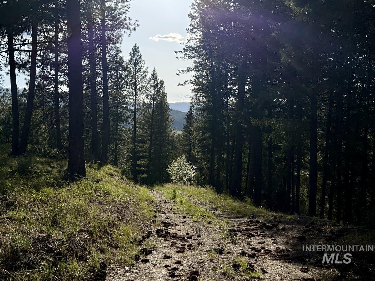 18 Tito Trail Property Photo 7