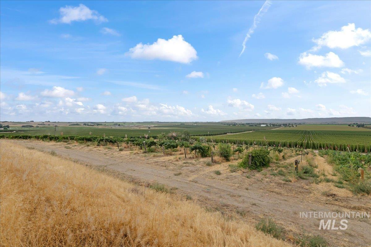 24013 Arena Valley Rd Property Photo 4