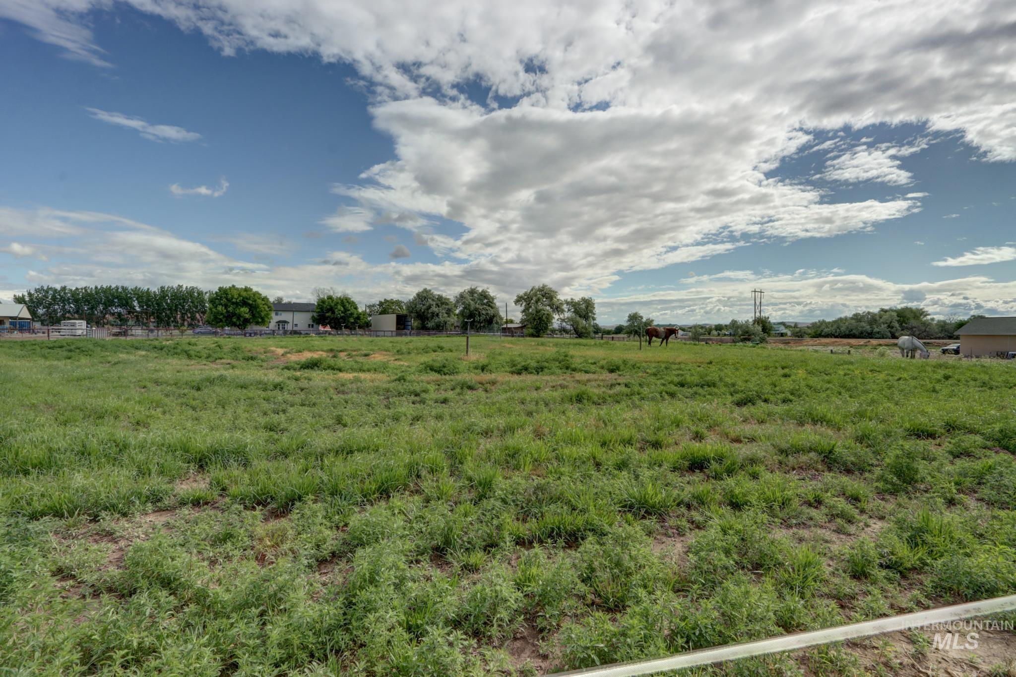 4449 Riata Cir Property Photo 43