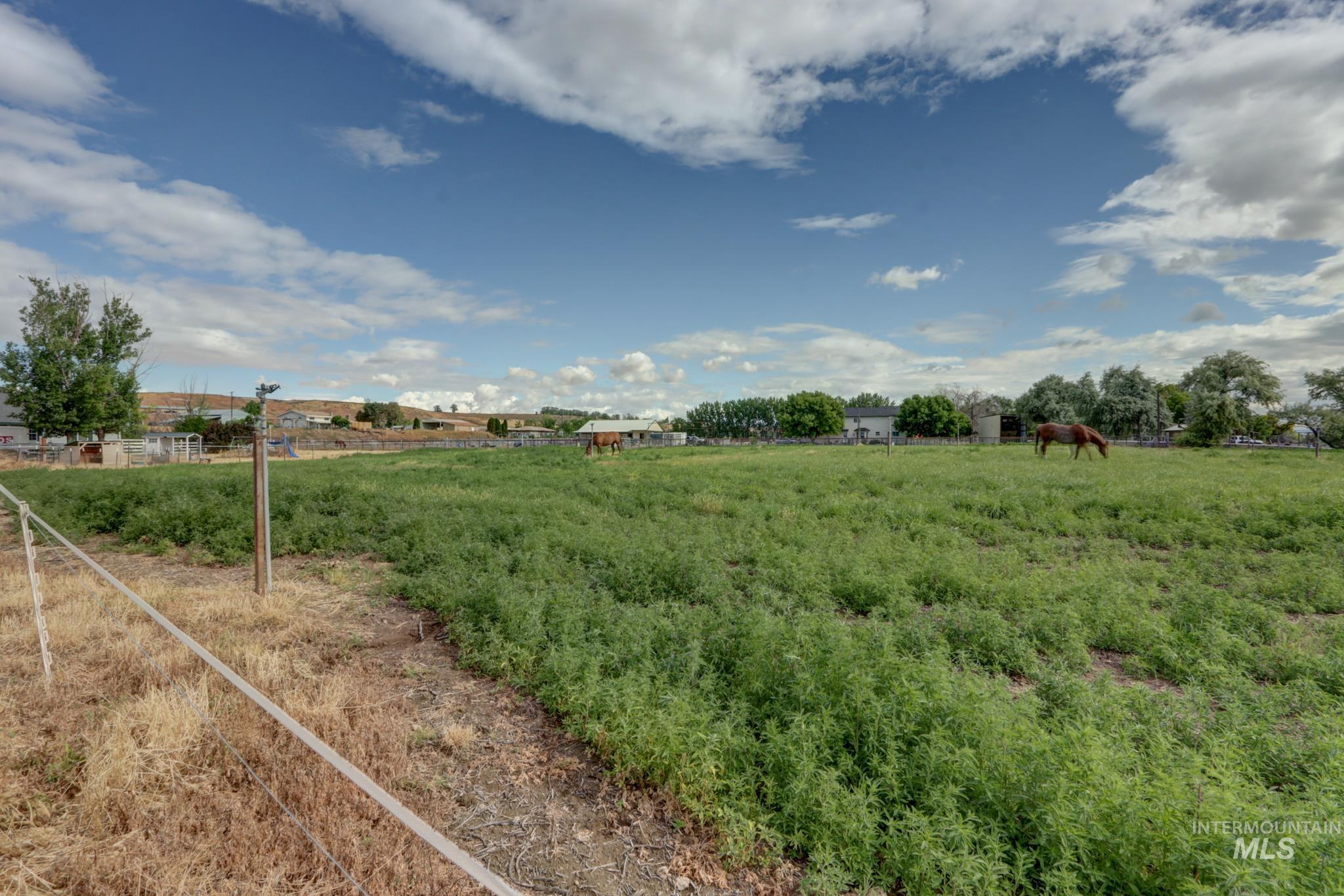 4449 Riata Cir Property Photo 45