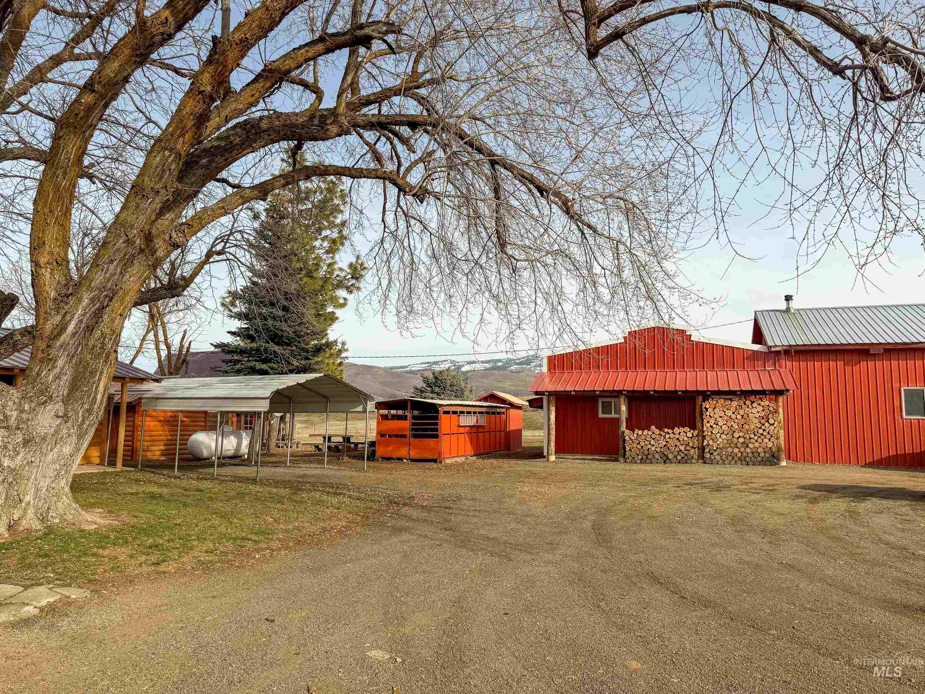 1788 Hwy 95 (5 Acres) Property Photo 19