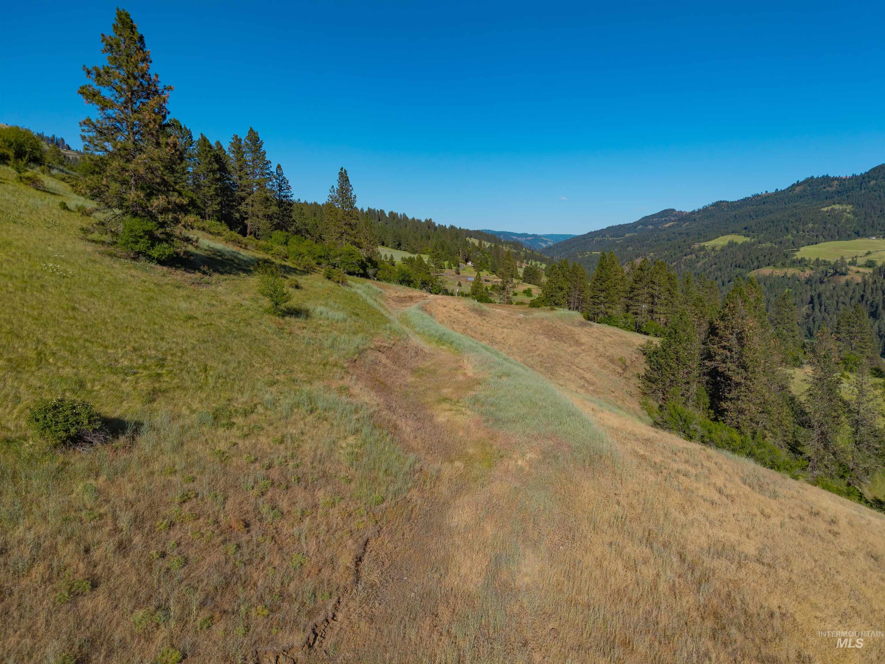 618 Old Peck Grade Property Photo 4