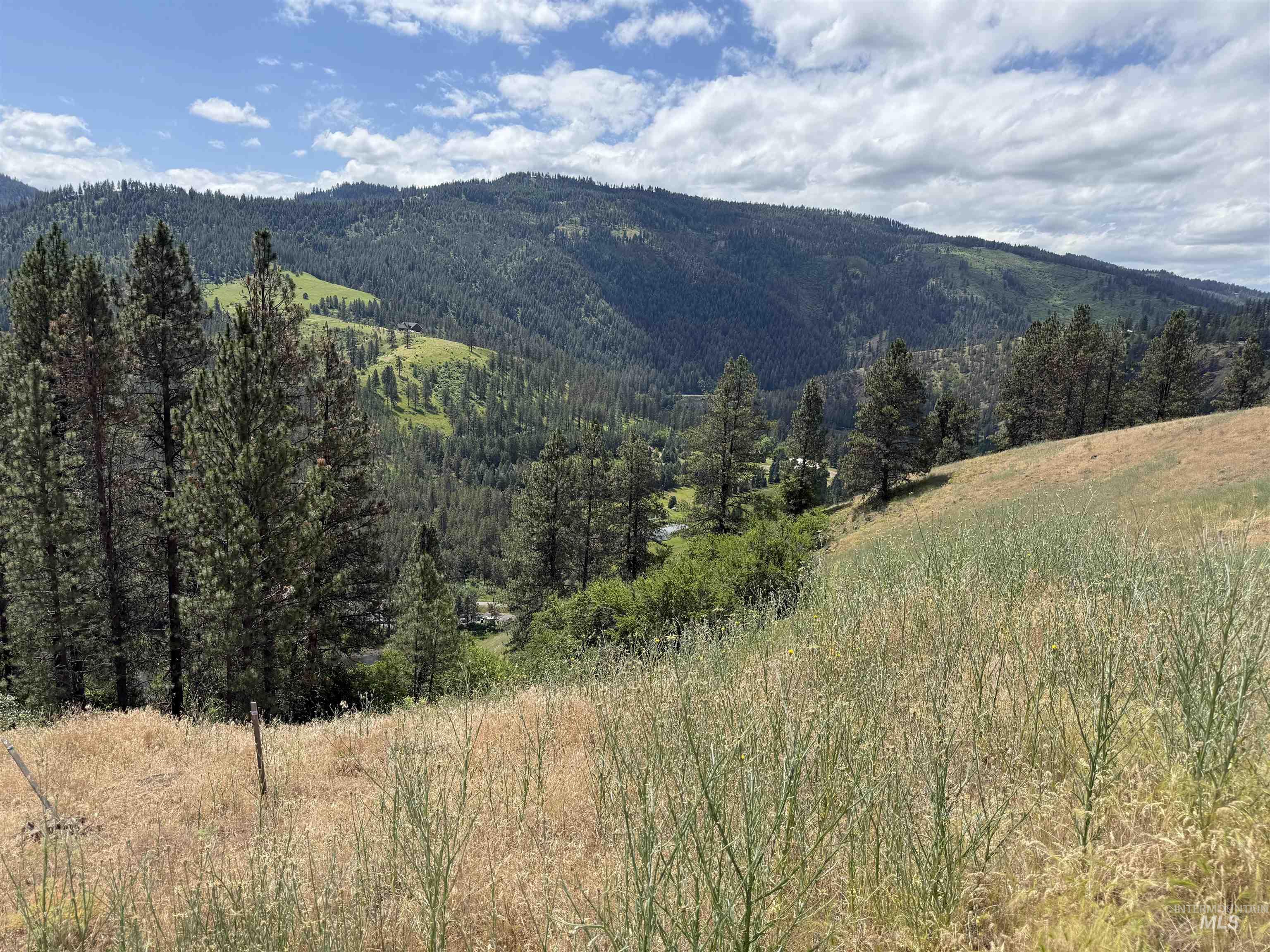 618 Old Peck Grade Property Photo 6