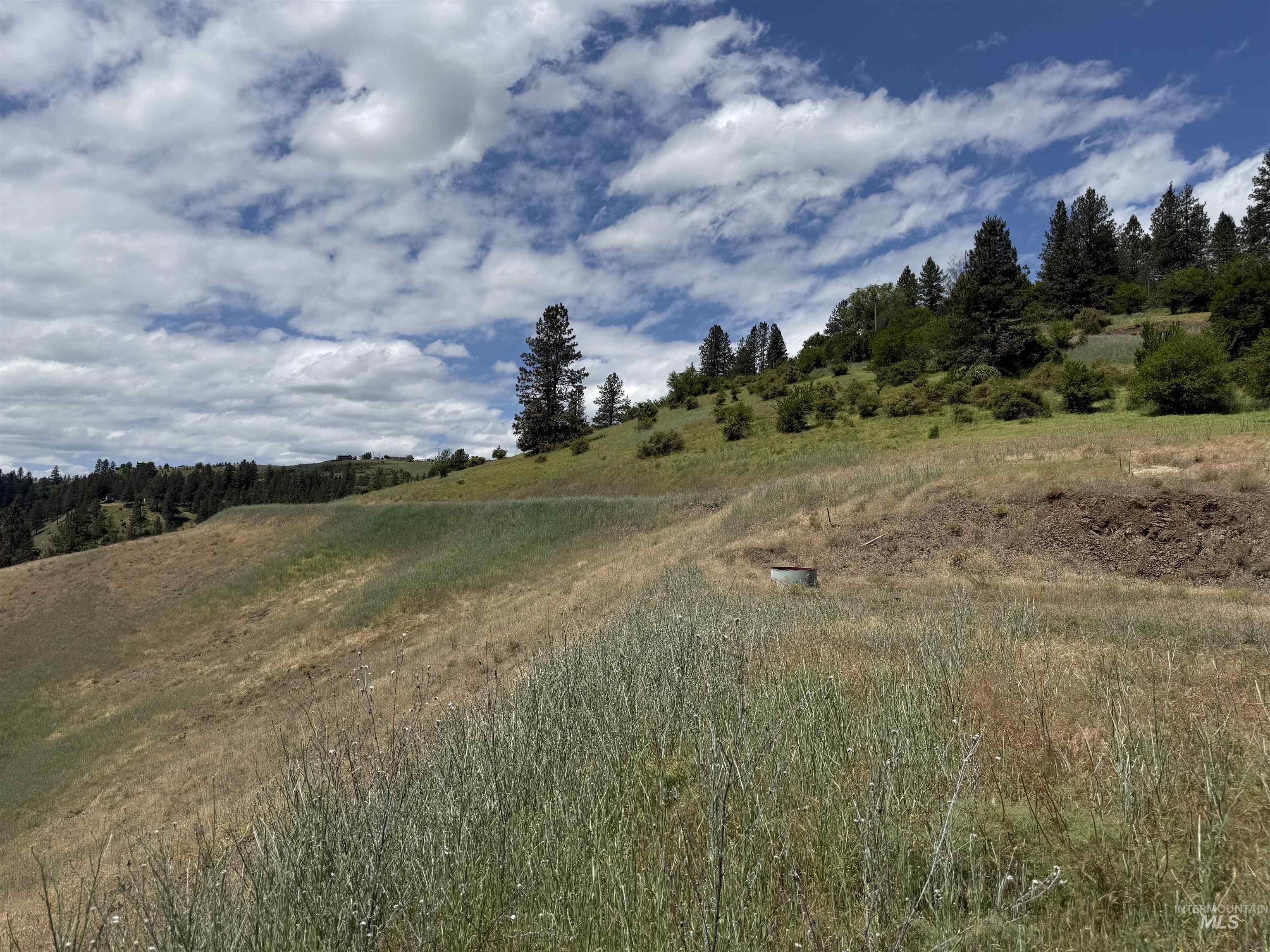 618 Old Peck Grade Property Photo 7