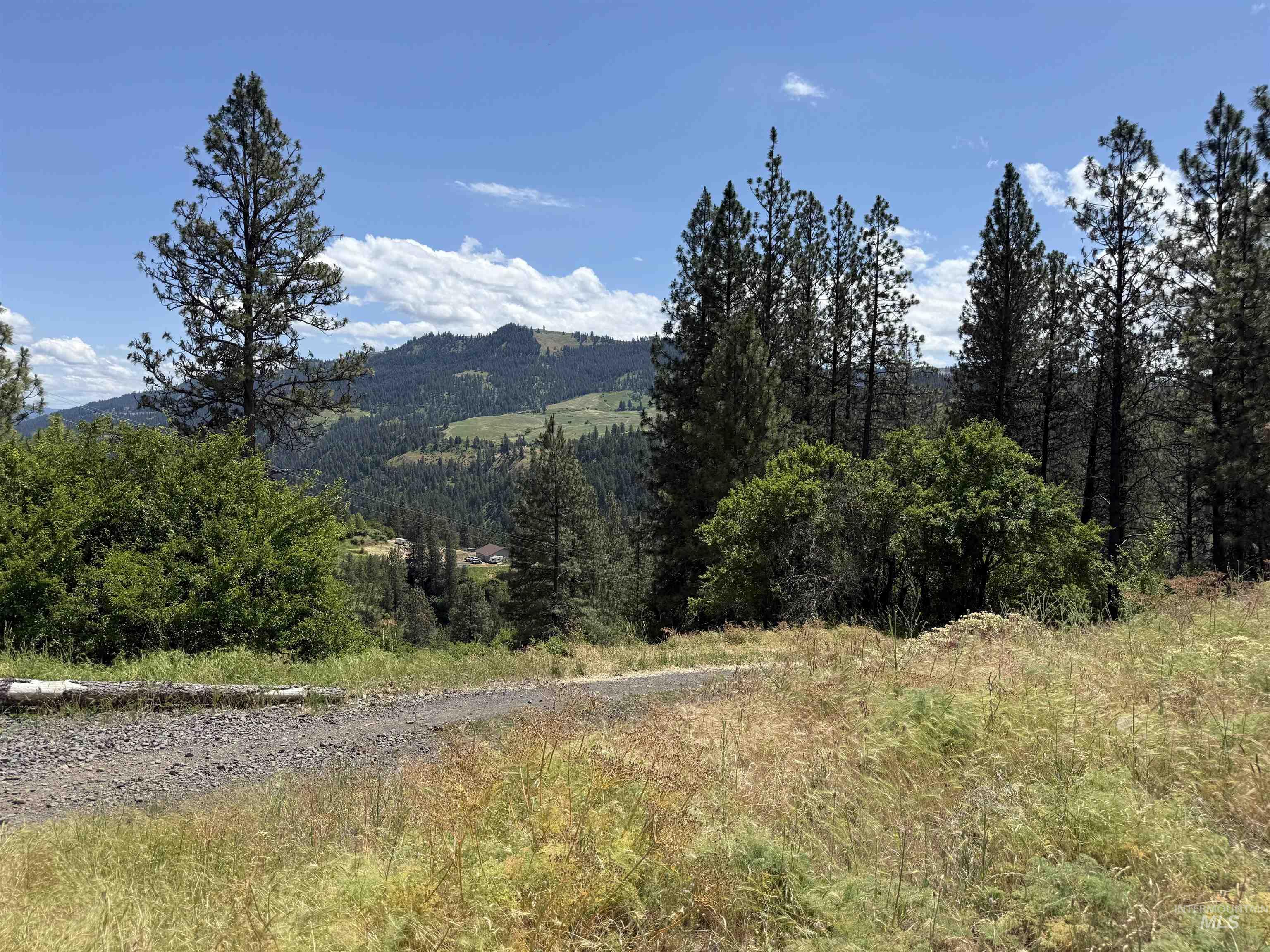 618 Old Peck Grade Property Photo 8