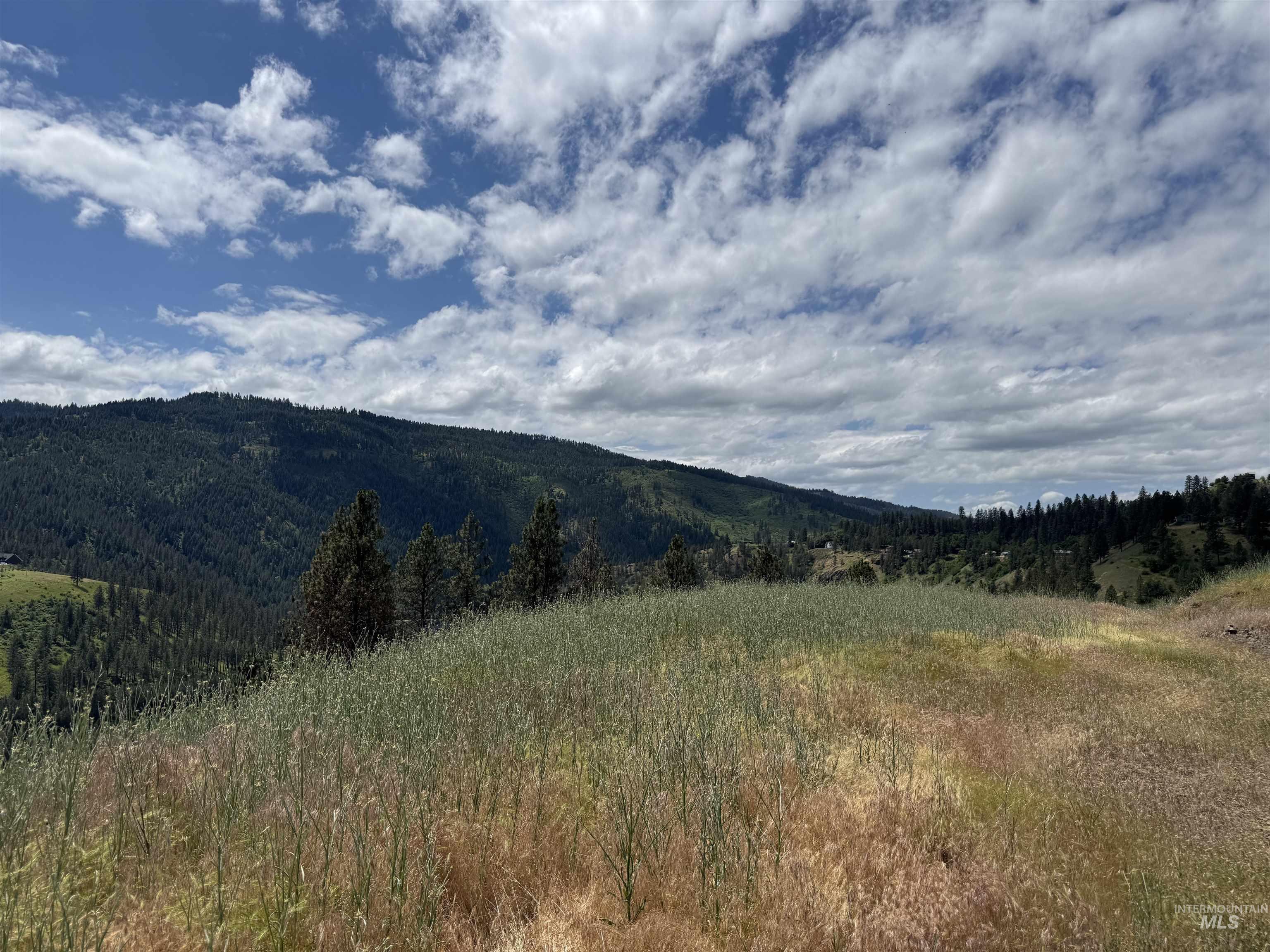 618 Old Peck Grade Property Photo 10