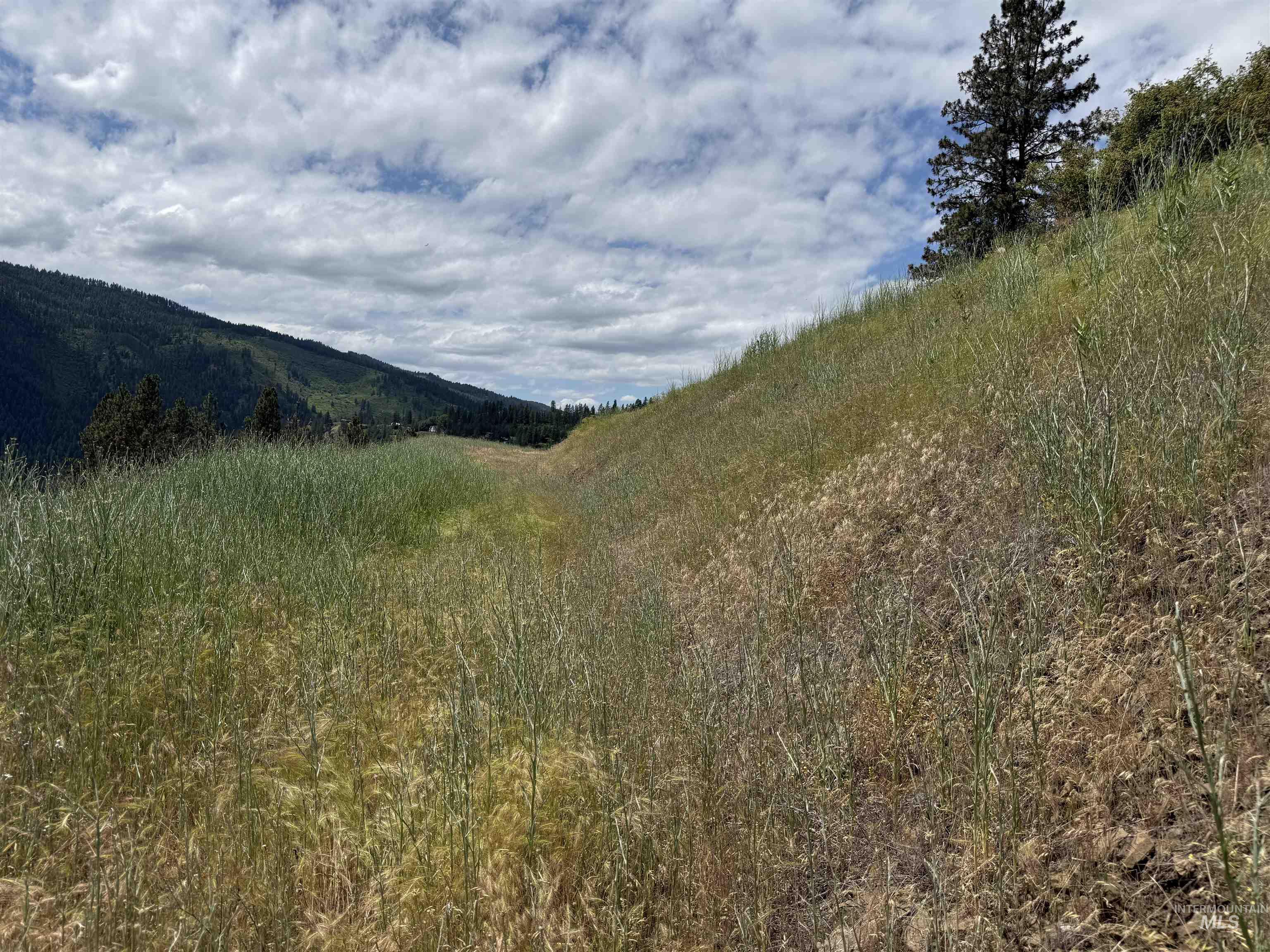 618 Old Peck Grade Property Photo 11