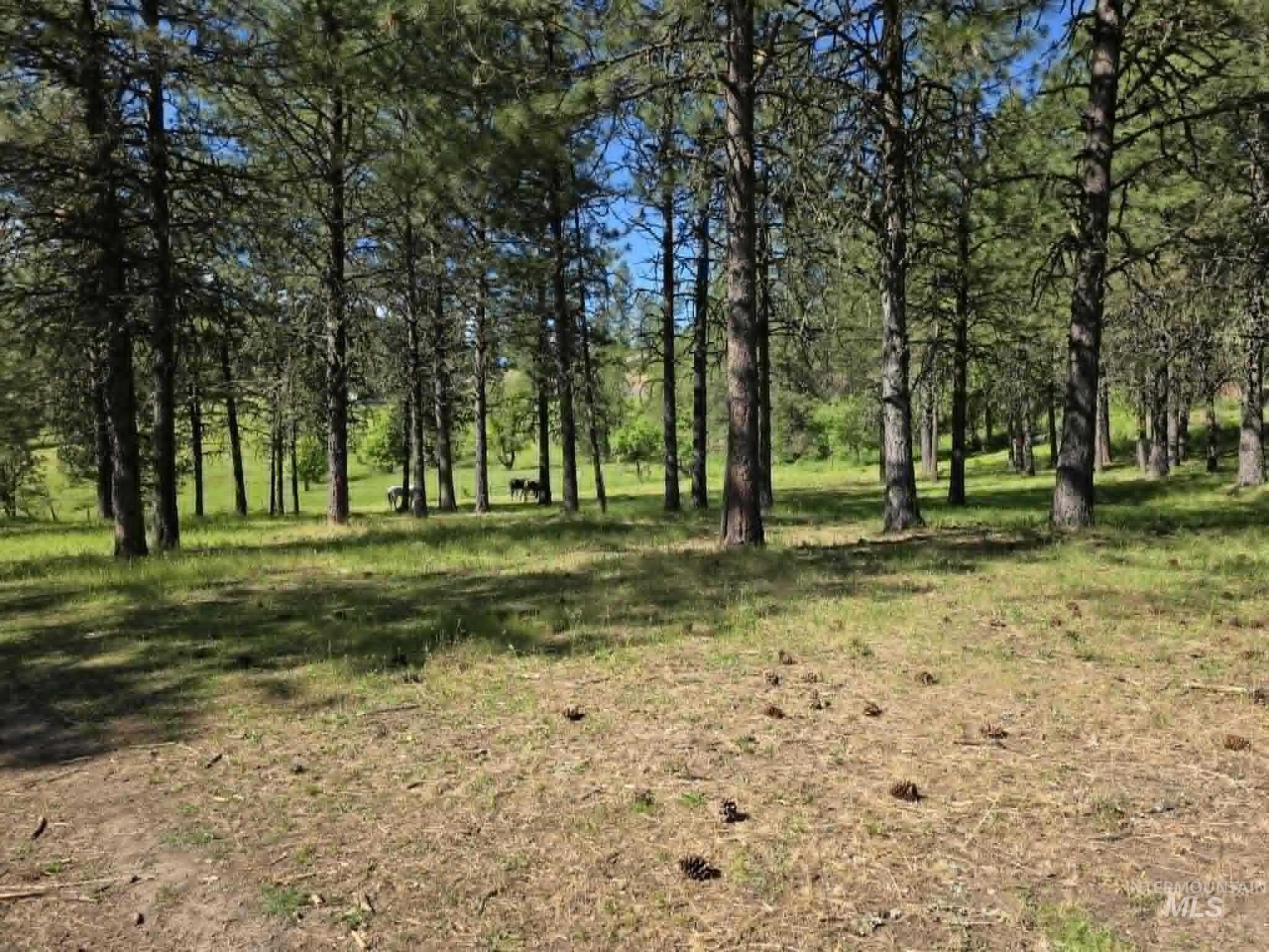 3871 Lakeview Road Property Photo 19