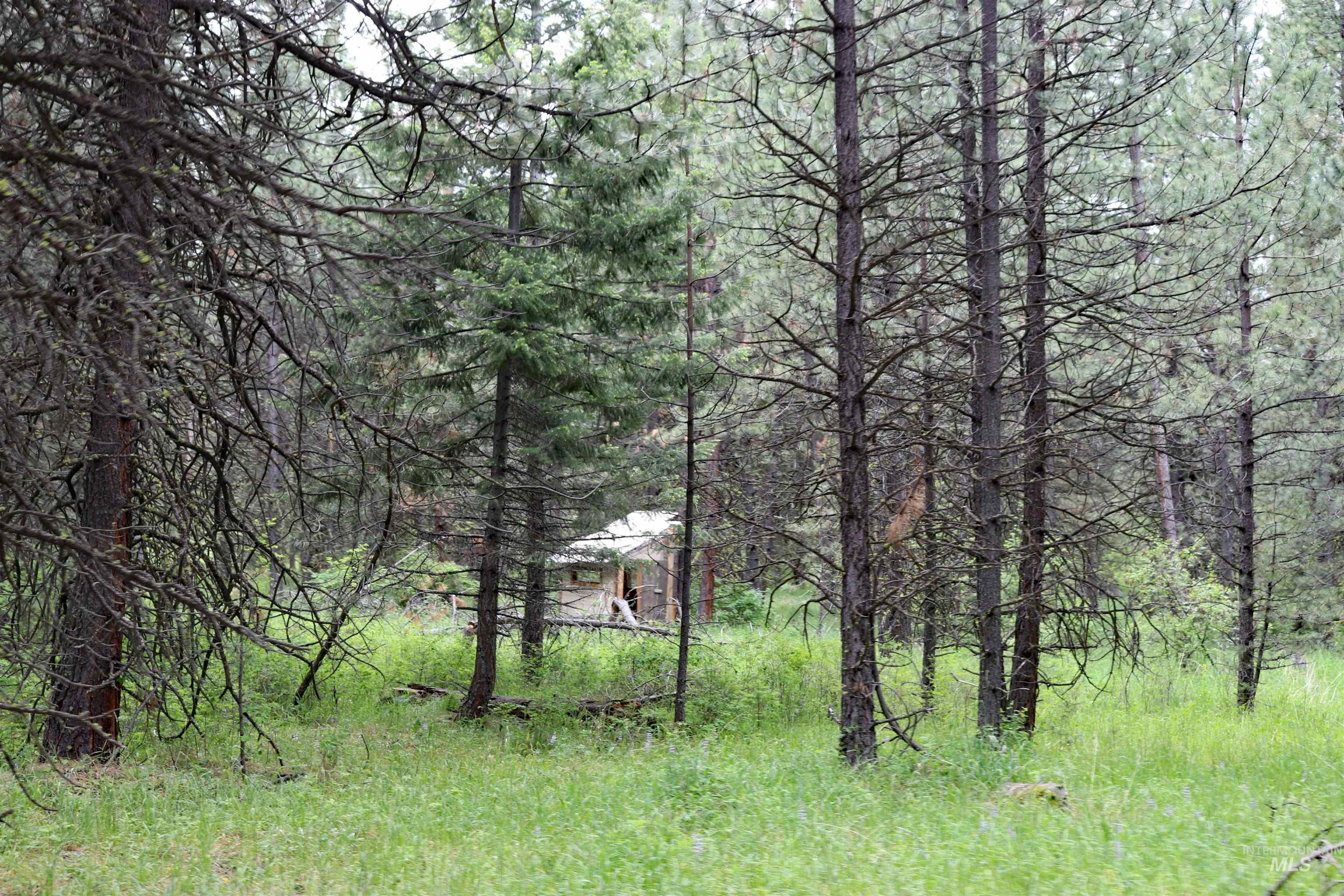 1826 Joseph Road Property Photo 30