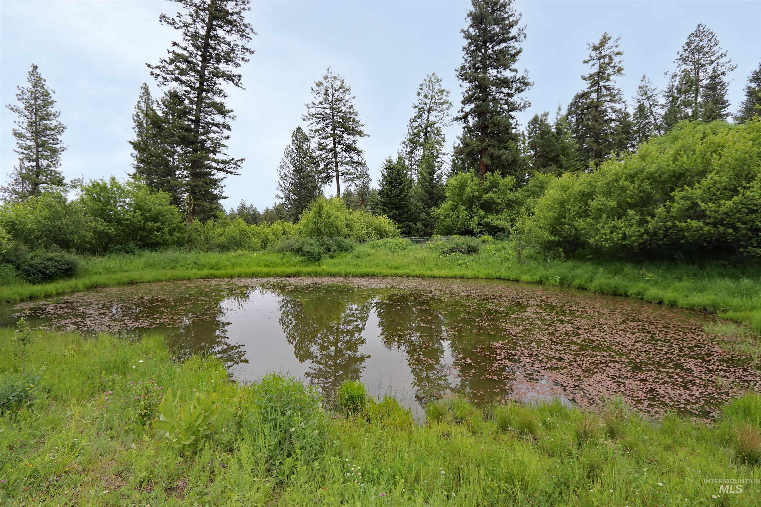 1826 Joseph Road Property Photo 33