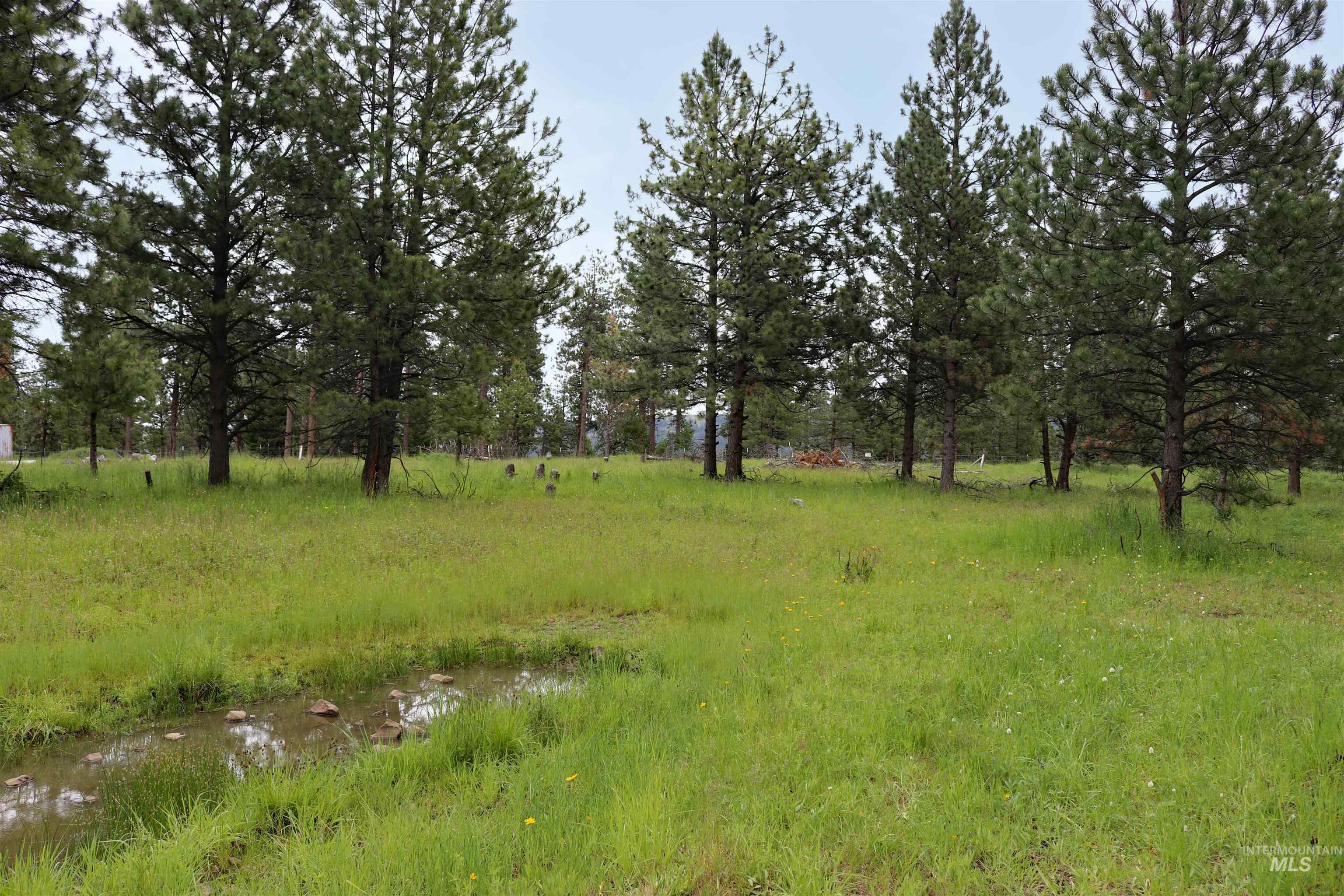 1826 Joseph Road Property Photo 37