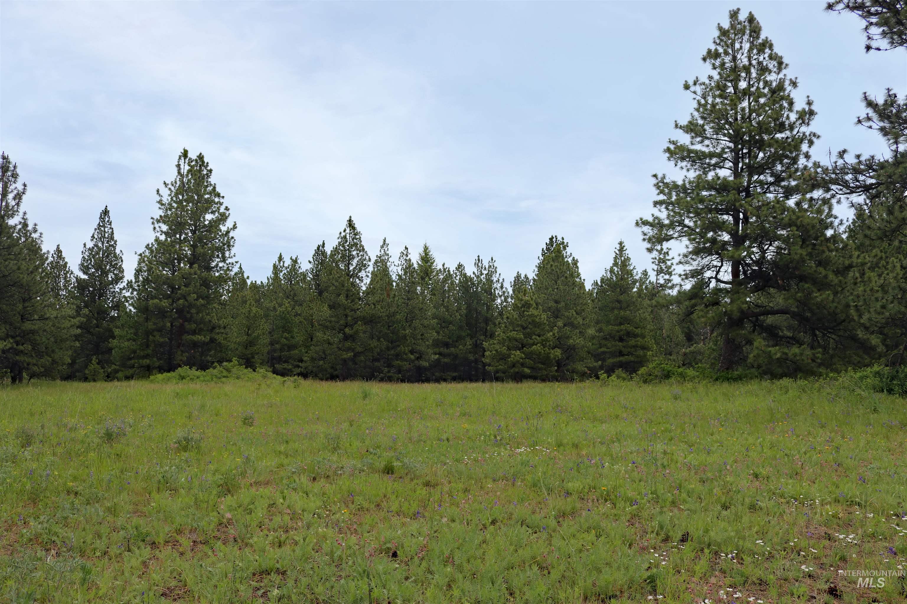 1826 Joseph Road Property Photo 39