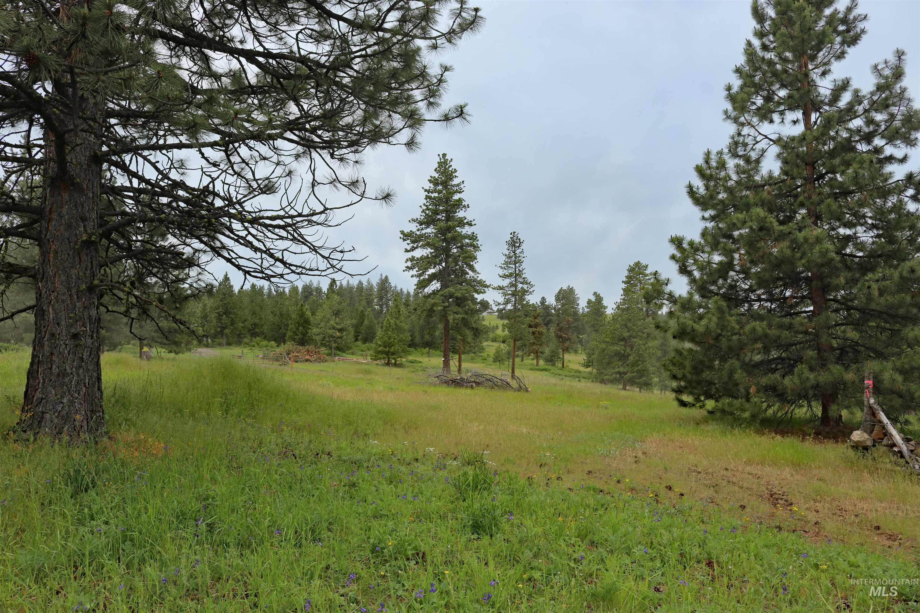 1826 Joseph Road Property Photo 41