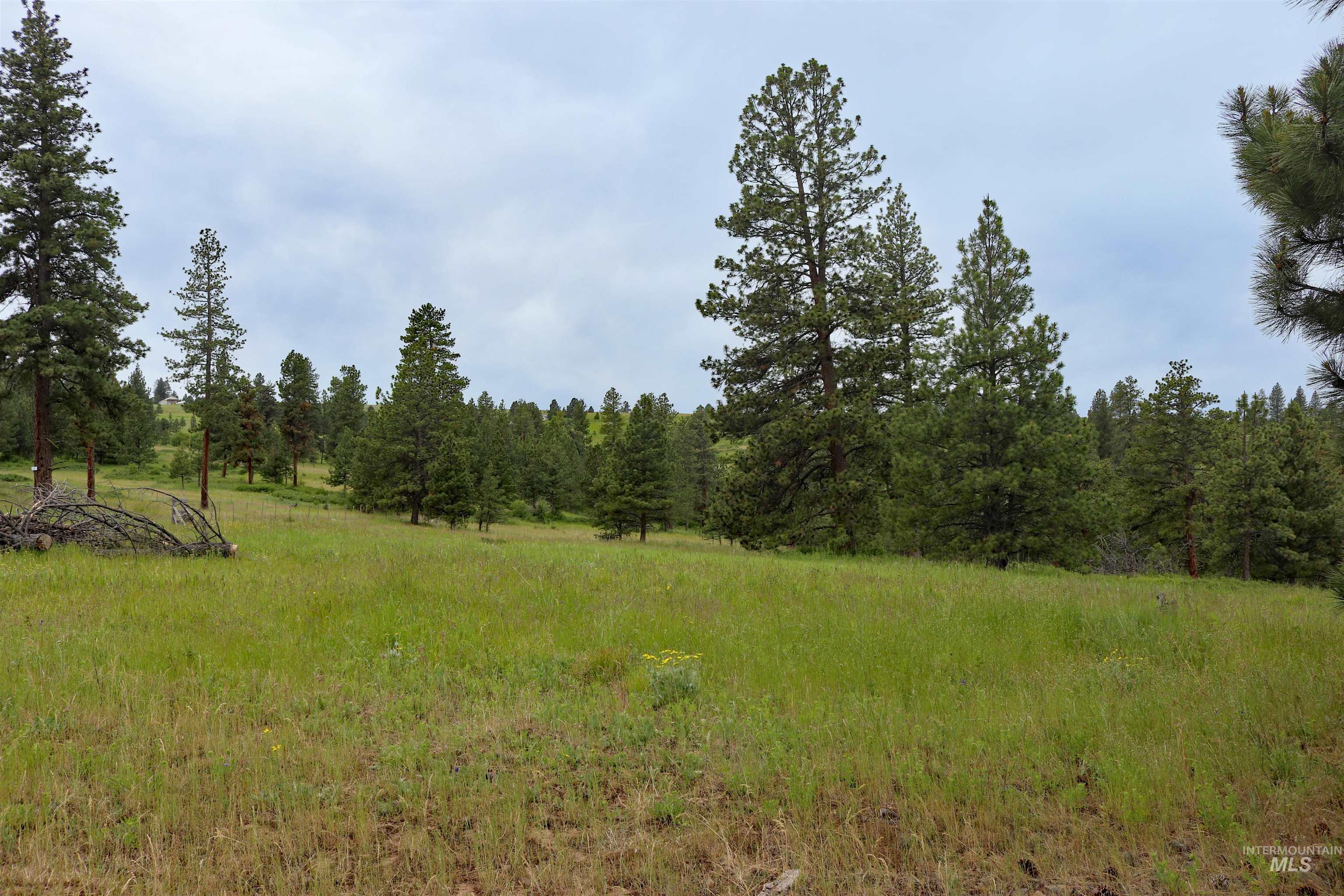 1826 Joseph Road Property Photo 47