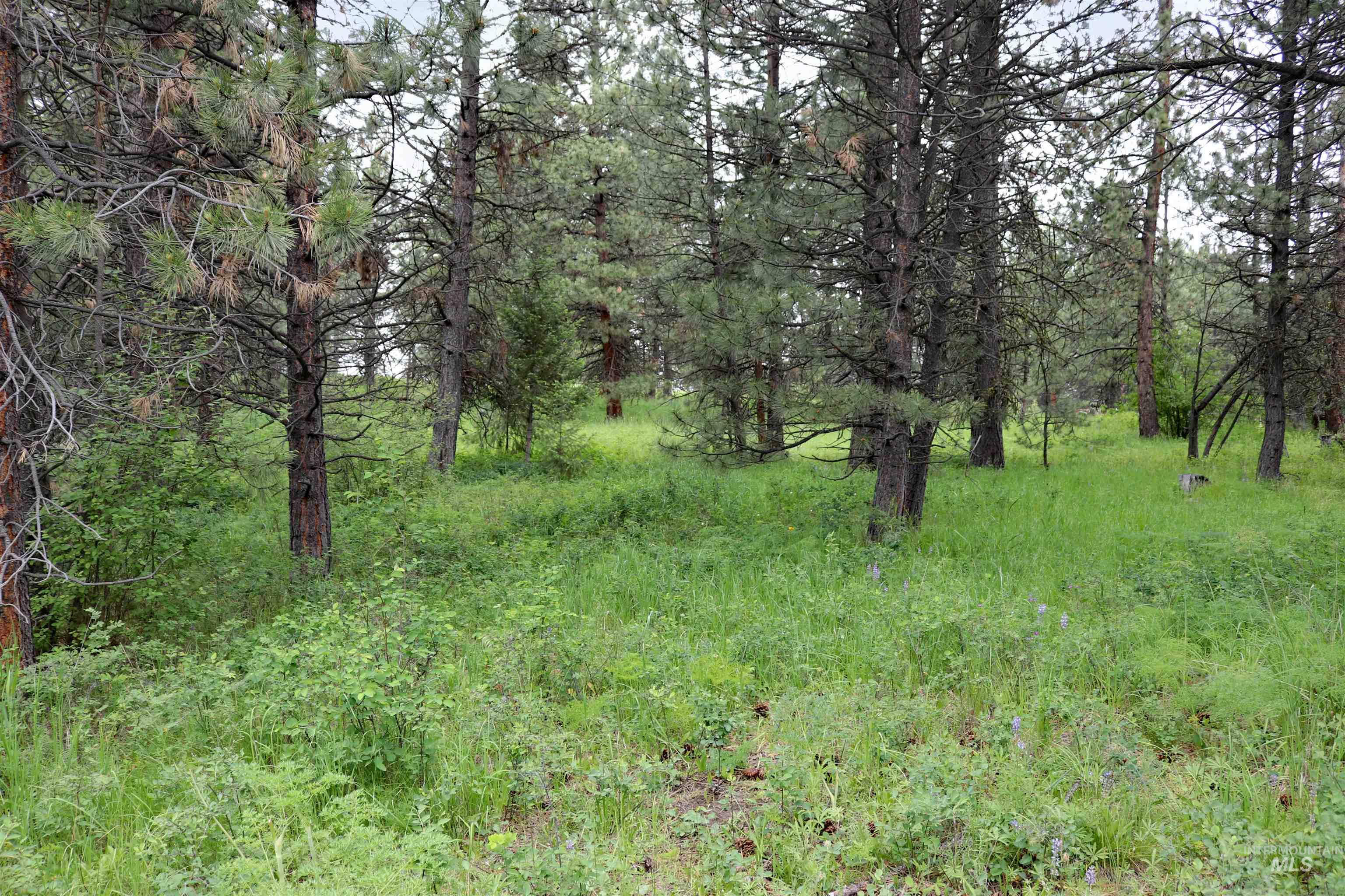 1826 Joseph Road Property Photo 48