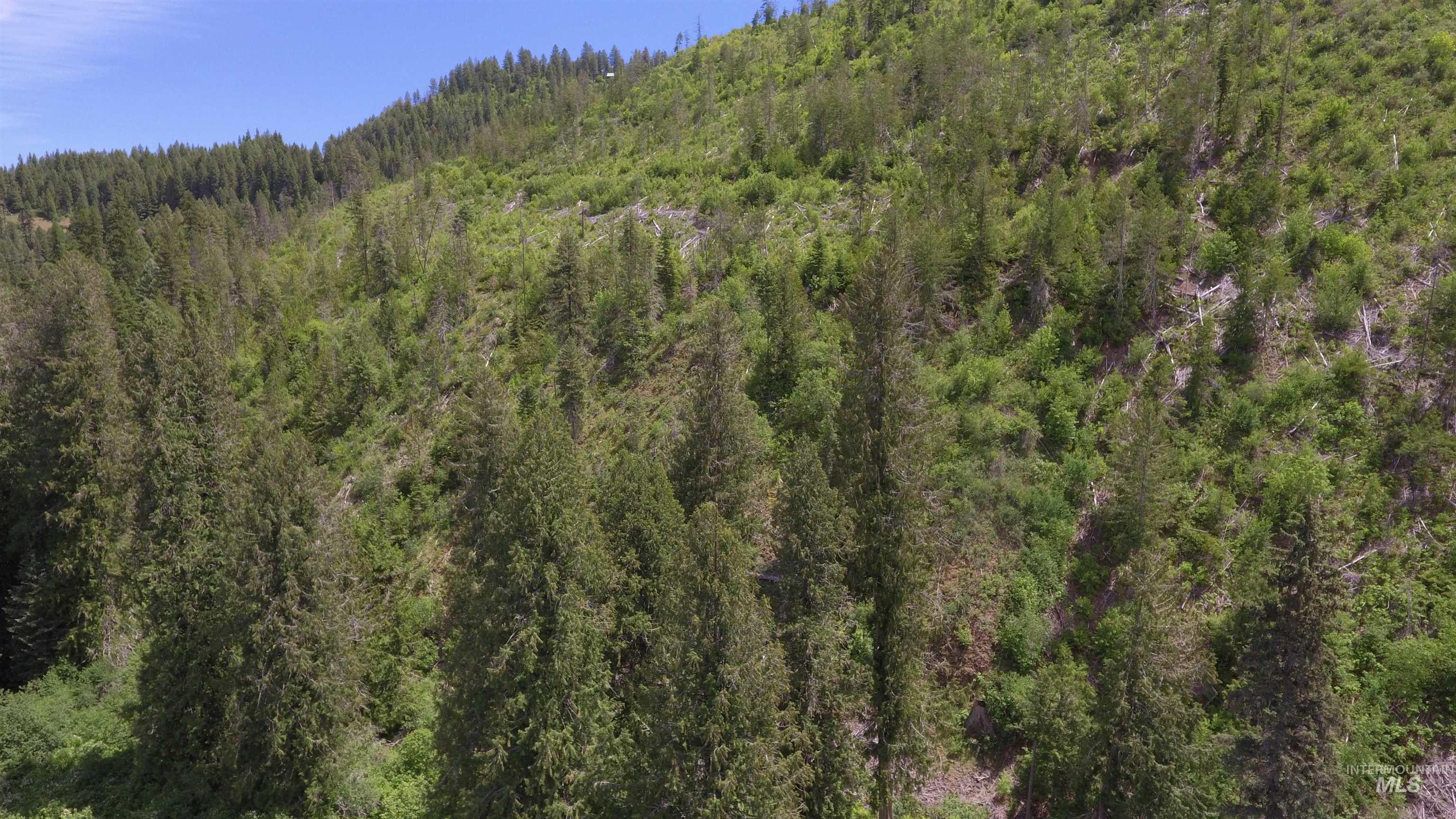 Tbd Glenwood Property Photo 6