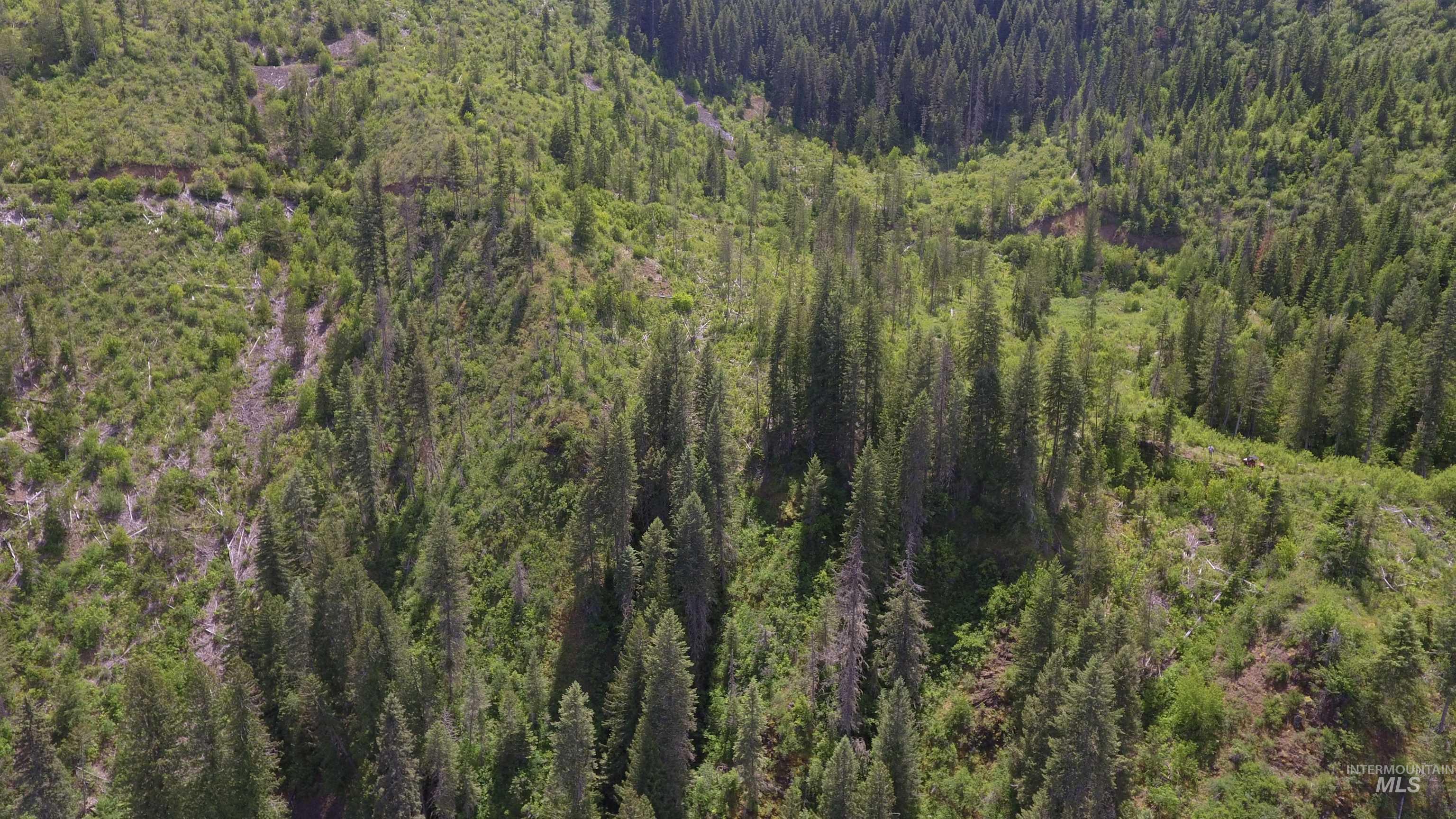 Tbd Glenwood Property Photo 8