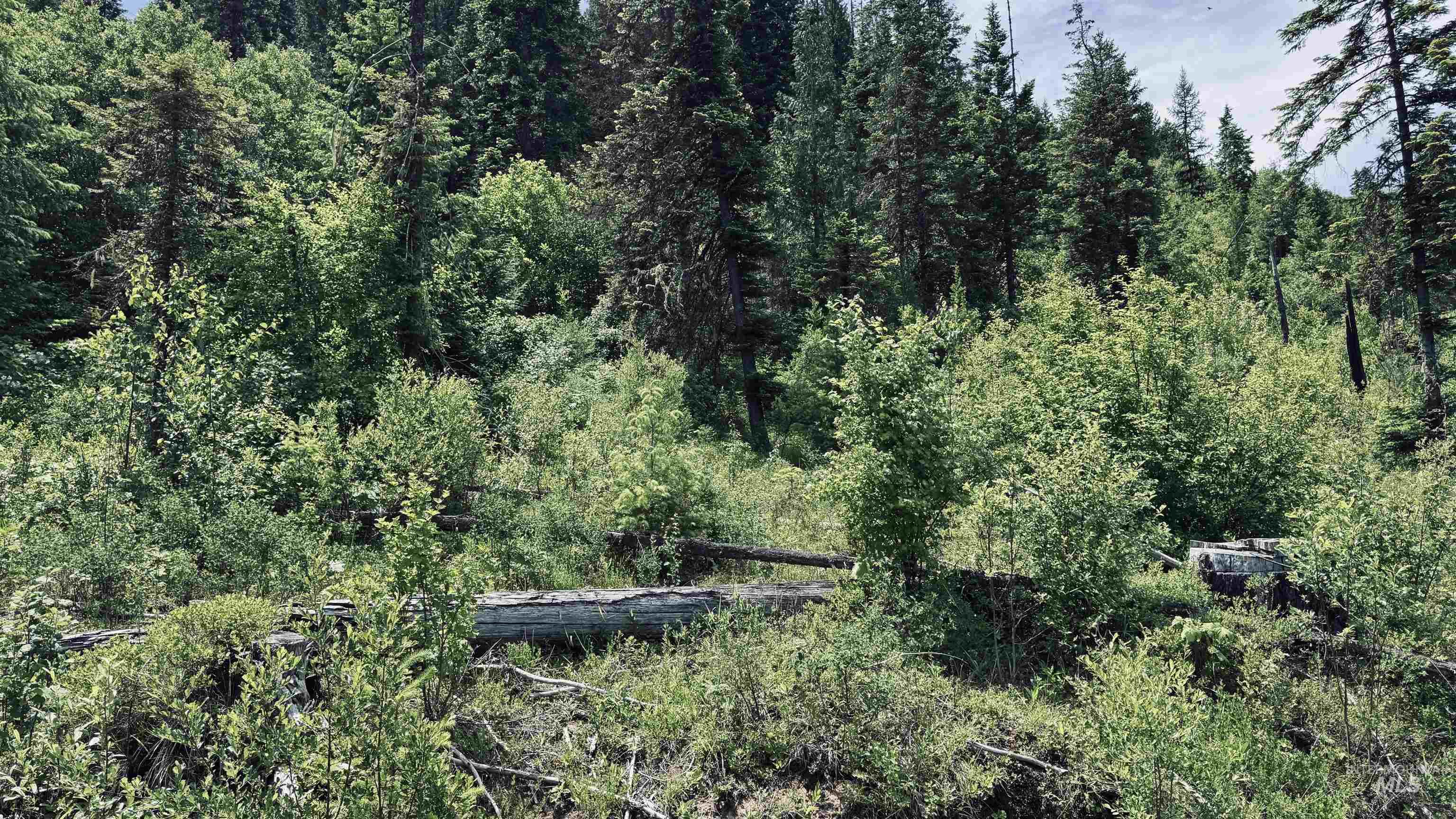 Tbd Glenwood Property Photo 18