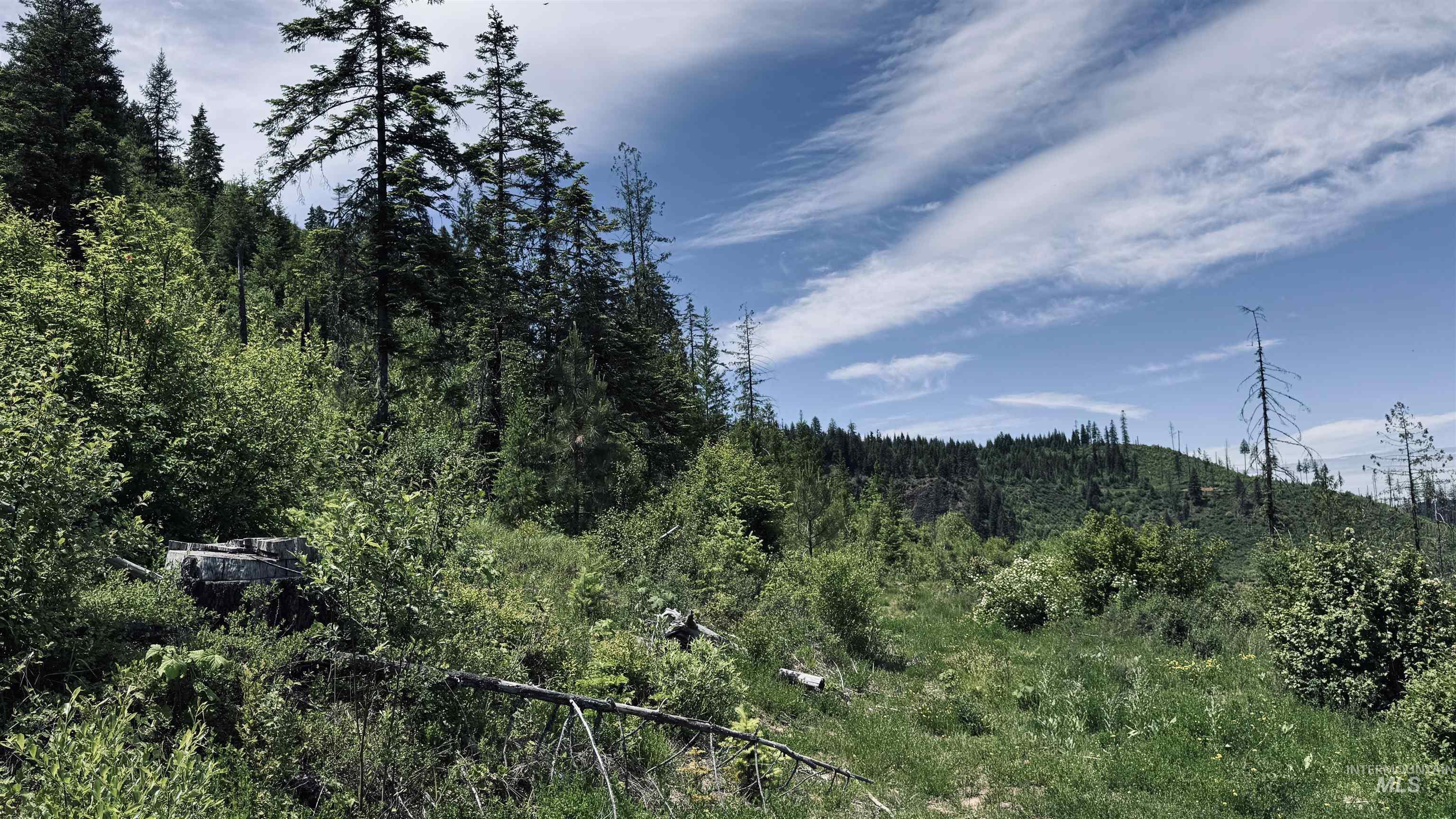 Tbd Glenwood Property Photo 19